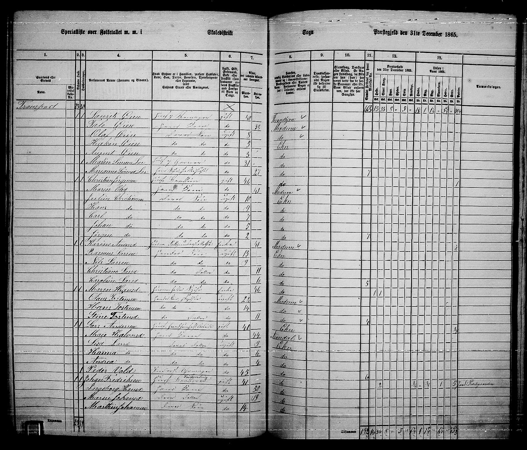 RA, 1865 census for Eiker, 1865, p. 217