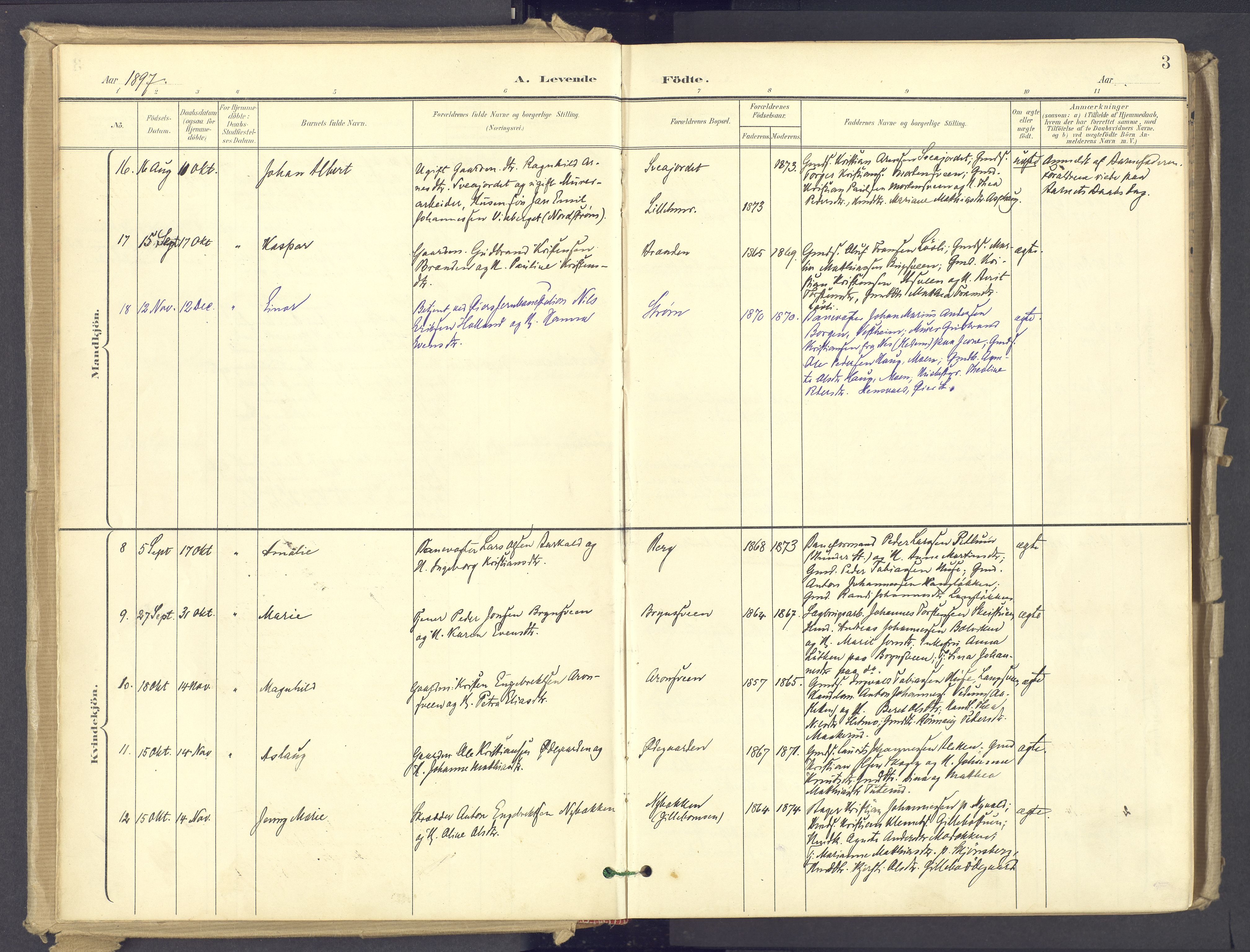 Øyer prestekontor, SAH/PREST-084/H/Ha/Haa/L0012: Parish register (official) no. 12, 1897-1920, p. 3