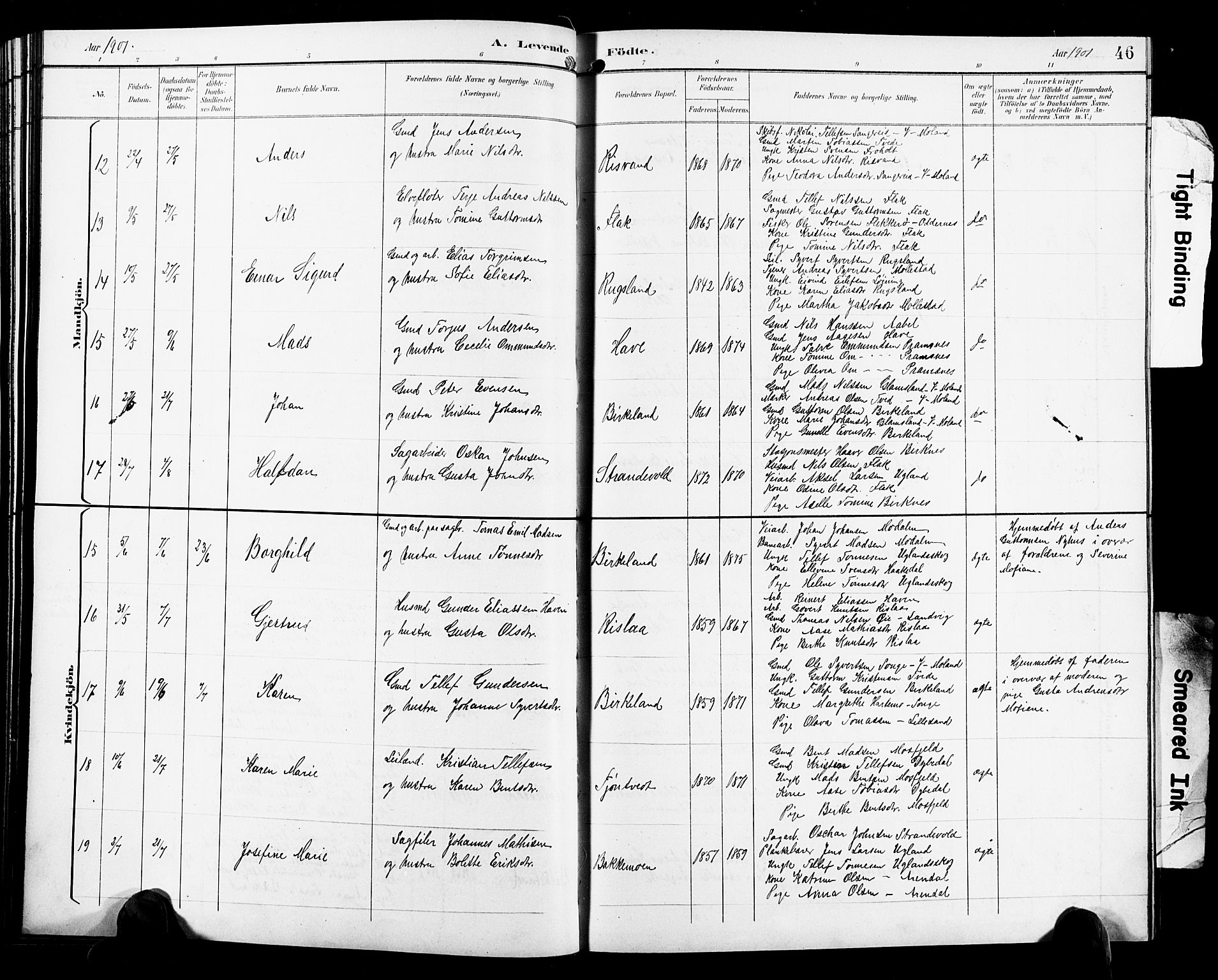 Birkenes sokneprestkontor, SAK/1111-0004/F/Fb/L0004: Parish register (copy) no. B 4, 1893-1930, p. 46