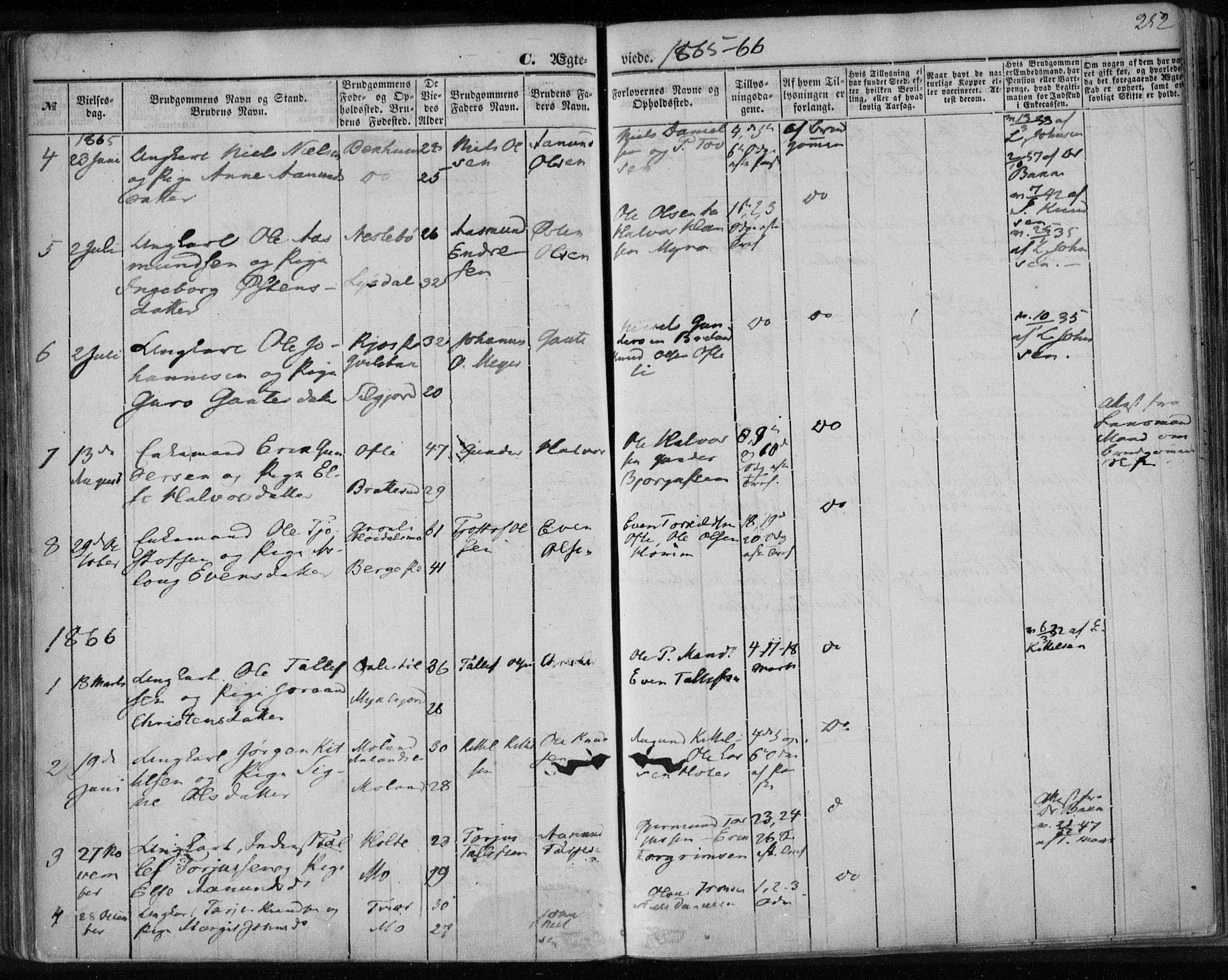 Lårdal kirkebøker, SAKO/A-284/F/Fa/L0006: Parish register (official) no. I 6, 1861-1886, p. 252