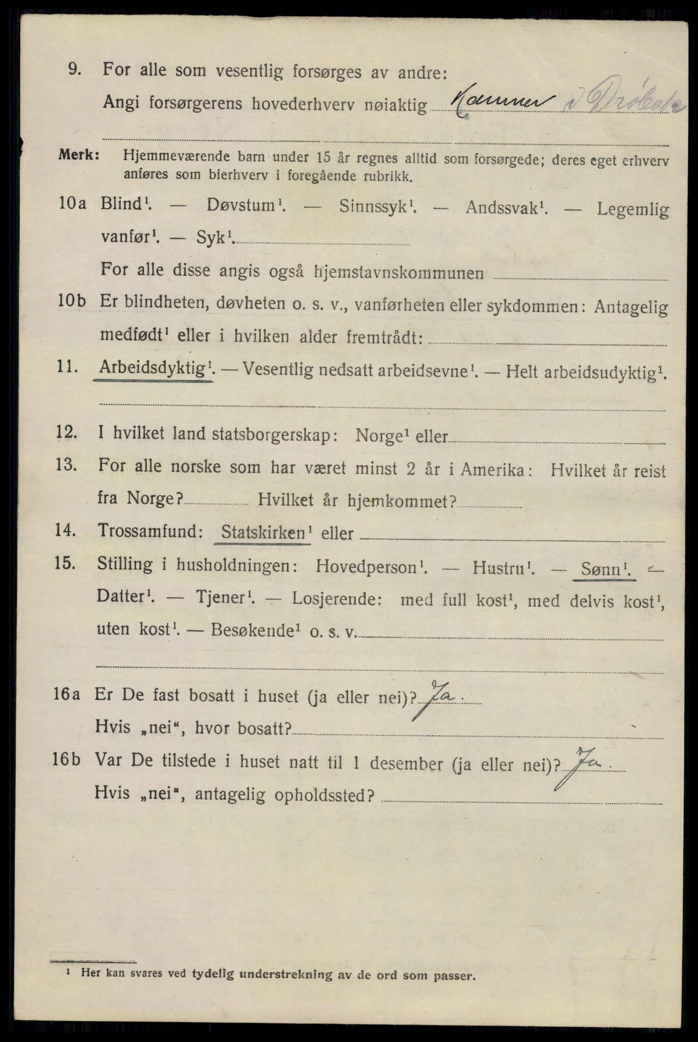 SAO, 1920 census for Drøbak, 1920, p. 3354