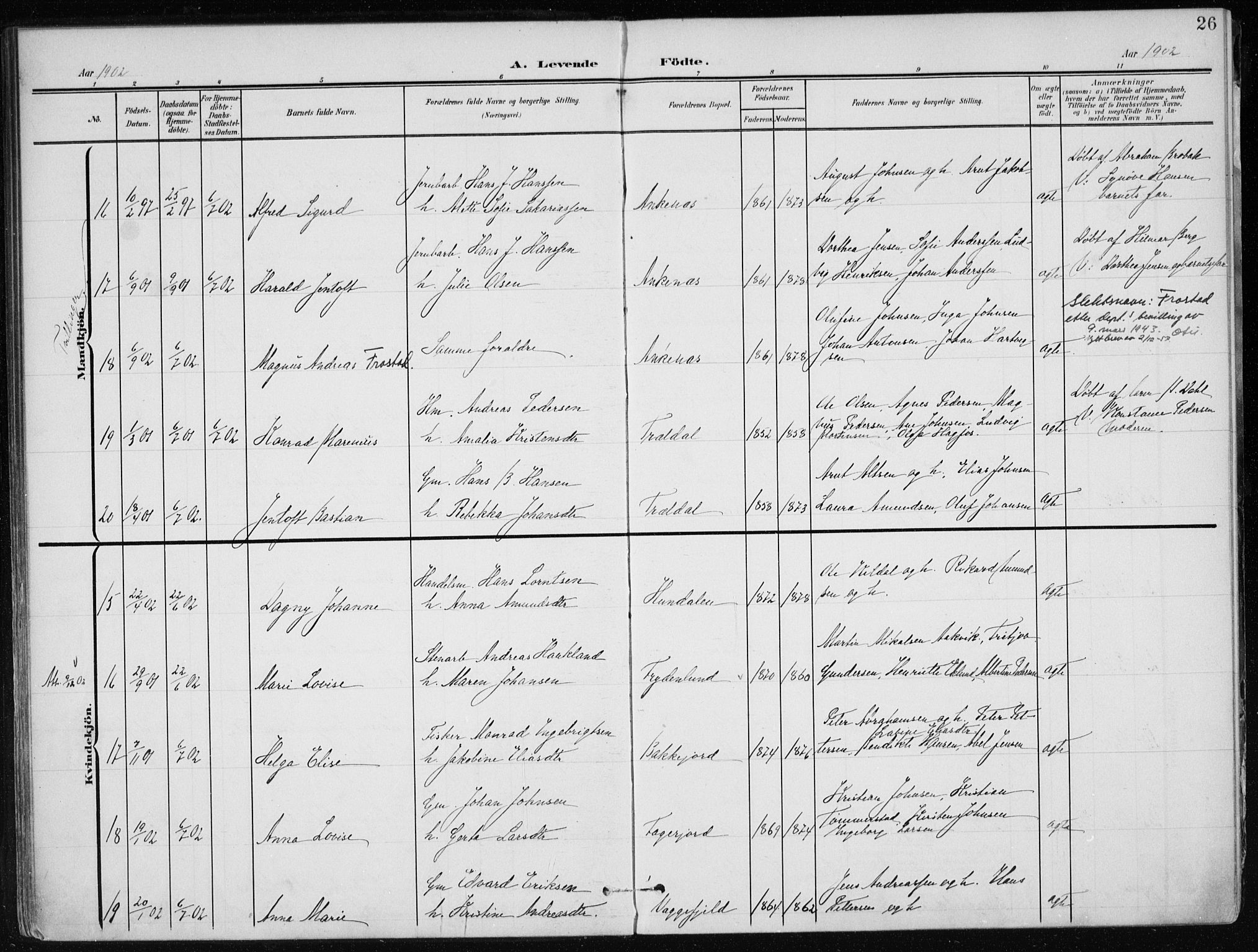 Ministerialprotokoller, klokkerbøker og fødselsregistre - Nordland, AV/SAT-A-1459/866/L0941: Parish register (official) no. 866A04, 1901-1917, p. 26