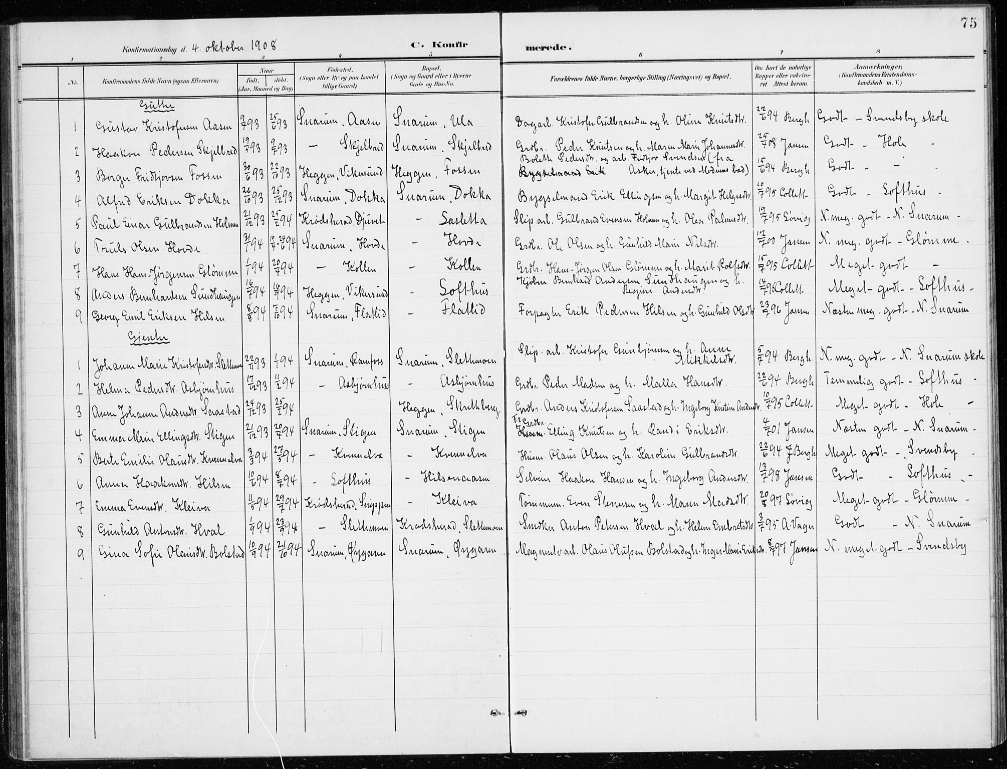 Modum kirkebøker, AV/SAKO-A-234/G/Gd/L0001: Parish register (copy) no. IV 1, 1901-1921, p. 75