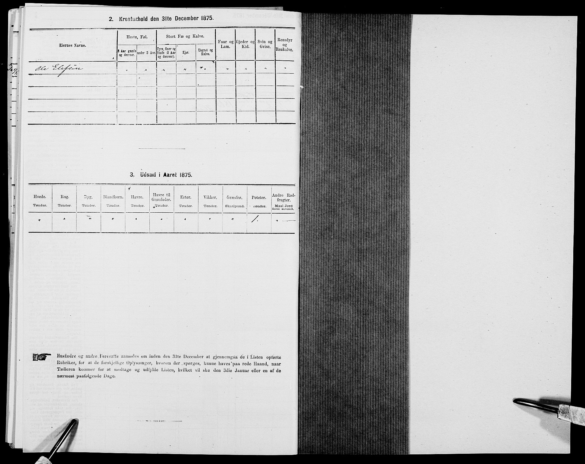 SAK, 1875 census for 0915P Dypvåg, 1875, p. 919