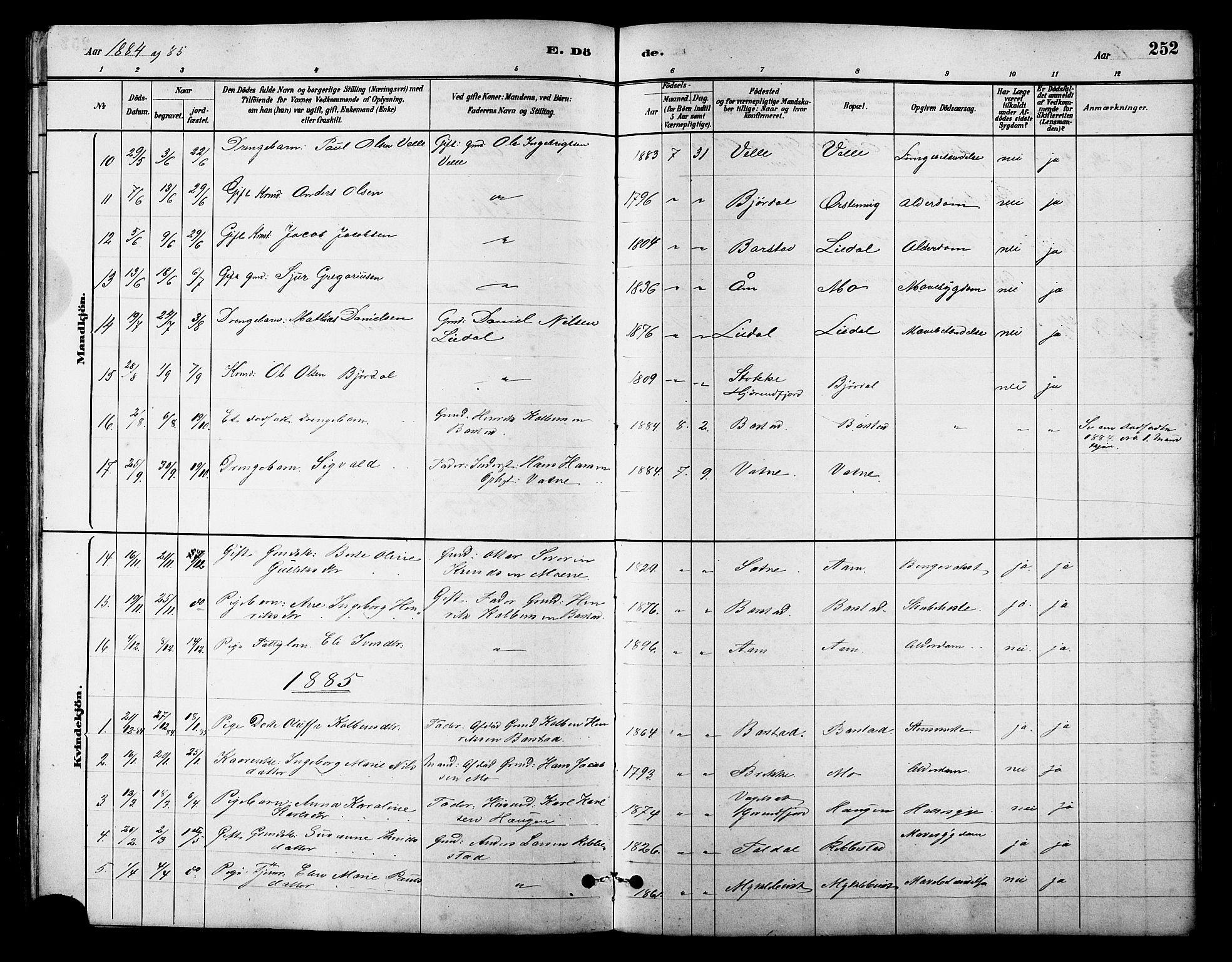 Ministerialprotokoller, klokkerbøker og fødselsregistre - Møre og Romsdal, AV/SAT-A-1454/513/L0189: Parish register (copy) no. 513C03, 1883-1904, p. 252