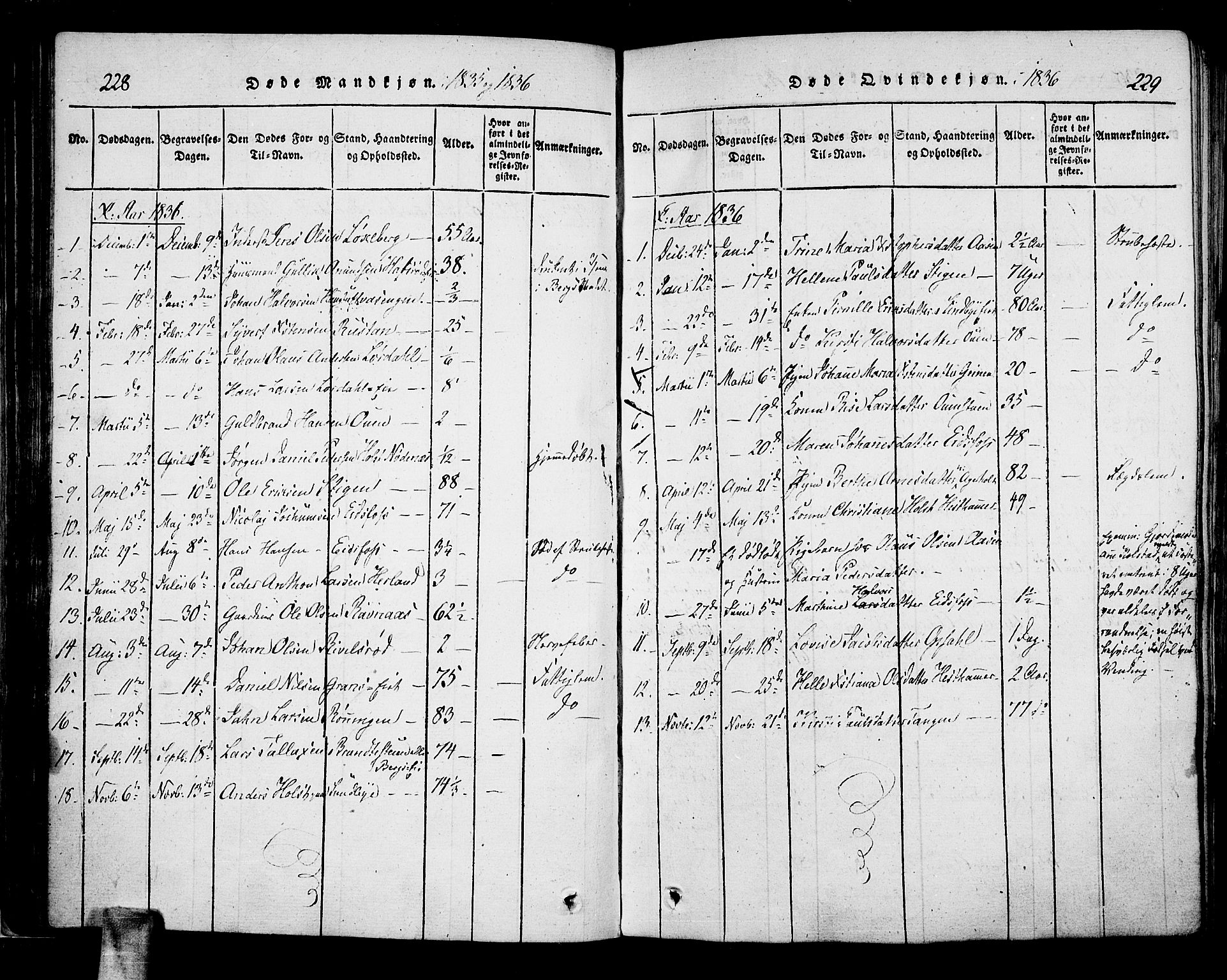 Hof kirkebøker, AV/SAKO-A-64/F/Fa/L0004: Parish register (official) no. I 4, 1814-1843, p. 228-229
