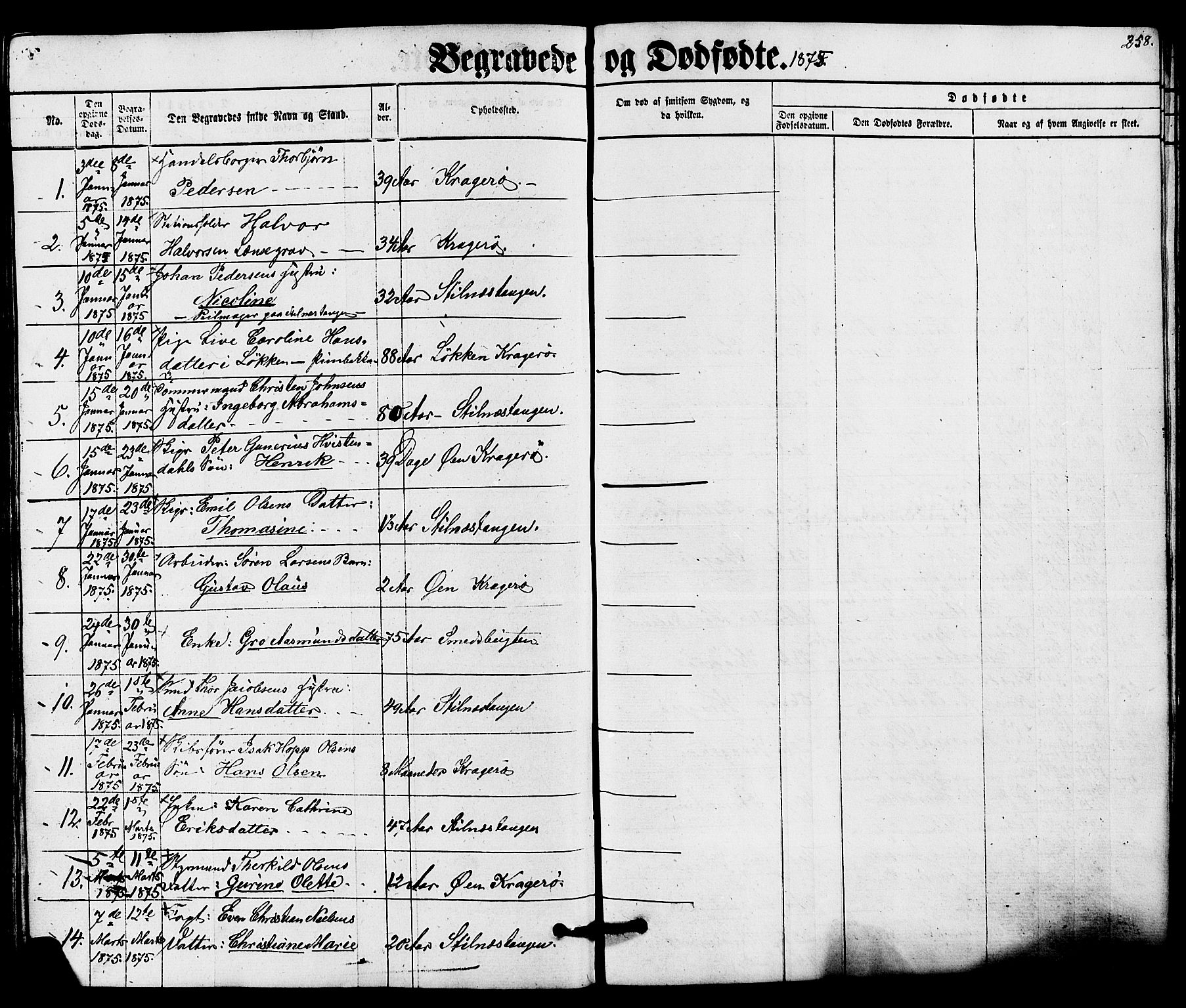 Kragerø kirkebøker, SAKO/A-278/G/Ga/L0005: Parish register (copy) no. 5, 1865-1881, p. 258