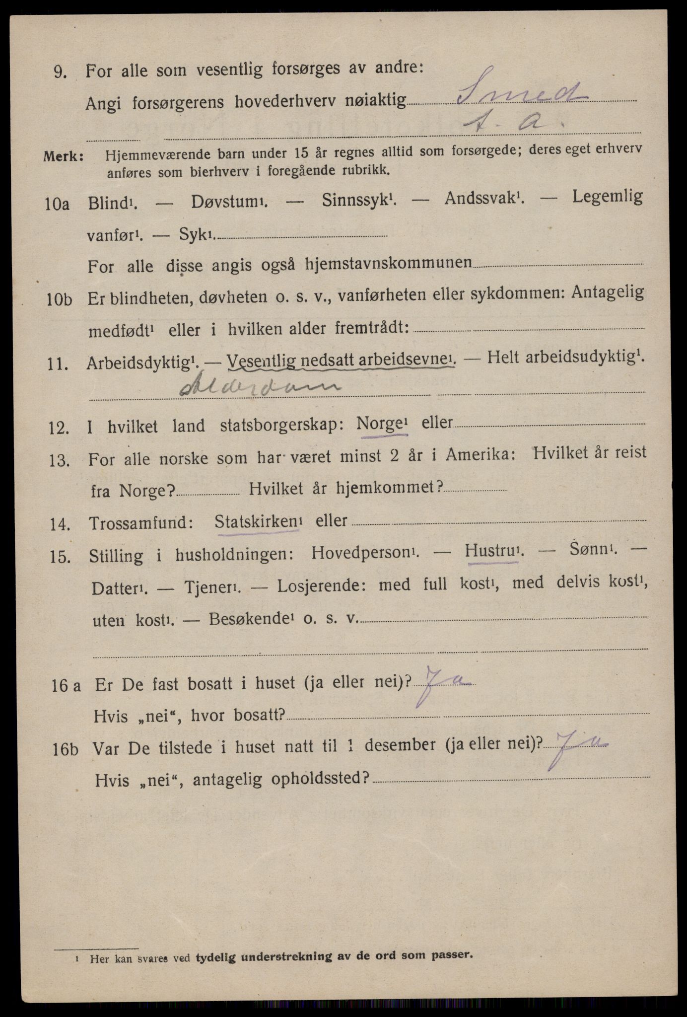 SAKO, 1920 census for Nissedal, 1920, p. 1288