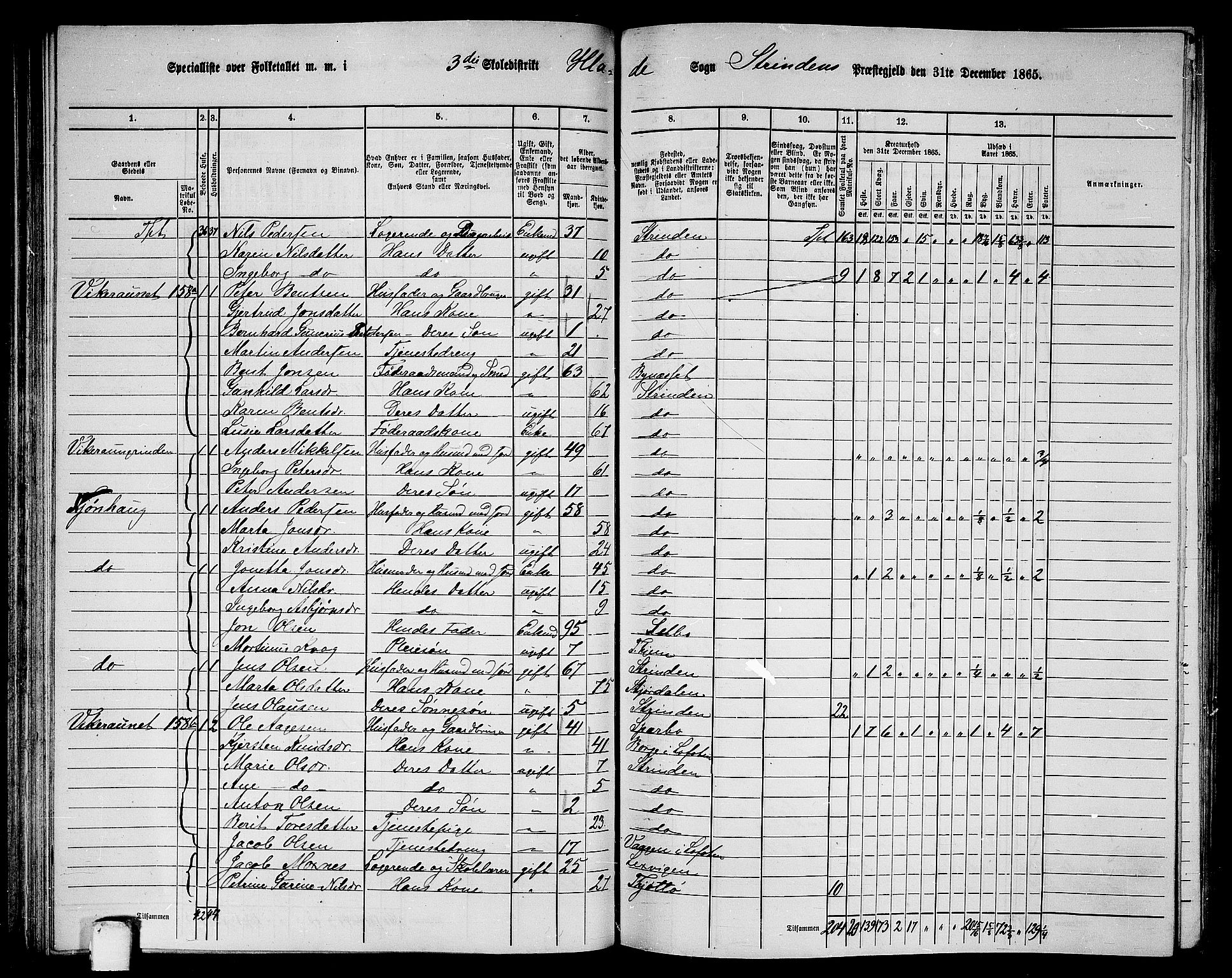 RA, 1865 census for Strinda, 1865, p. 78