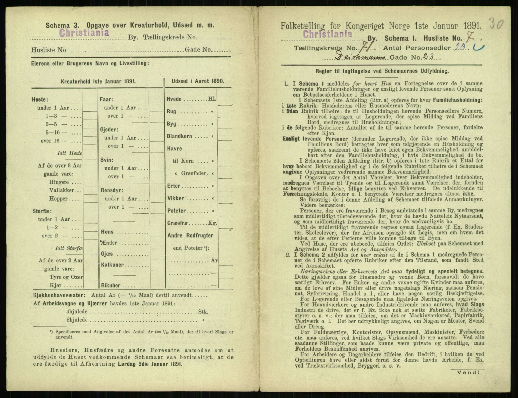 RA, 1891 census for 0301 Kristiania, 1891, p. 38917