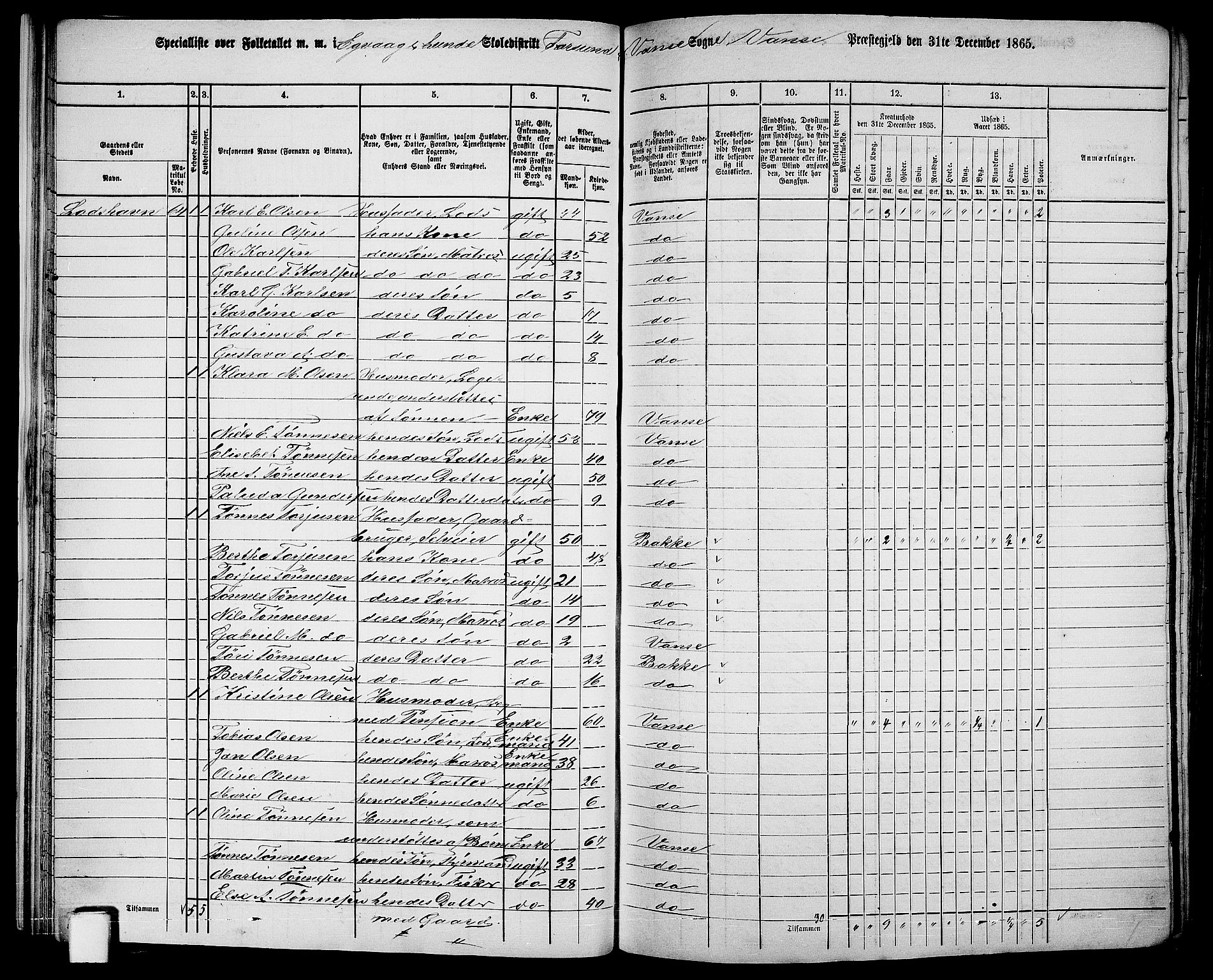 RA, 1865 census for Vanse/Vanse og Farsund, 1865, p. 27