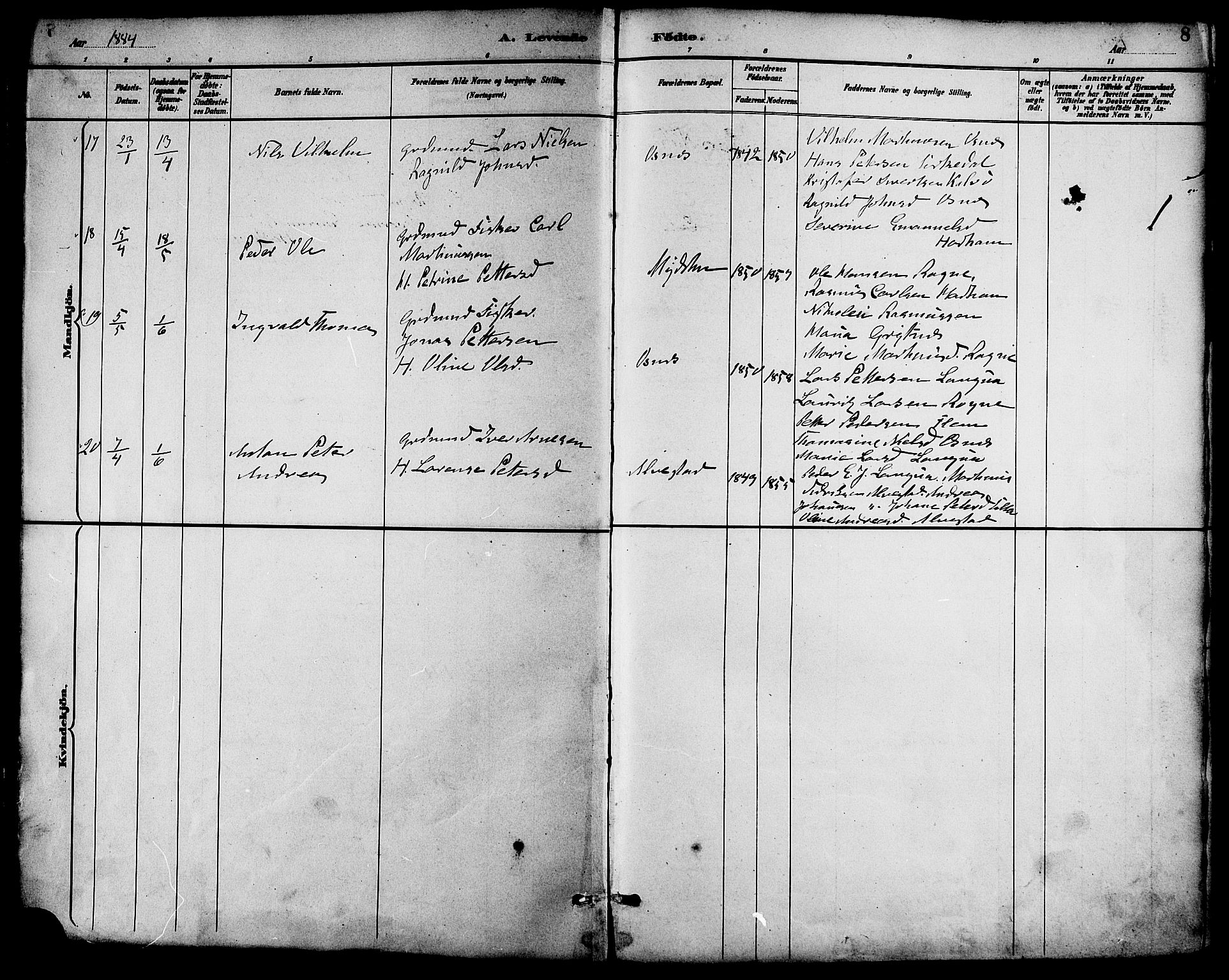 Ministerialprotokoller, klokkerbøker og fødselsregistre - Møre og Romsdal, AV/SAT-A-1454/536/L0501: Parish register (official) no. 536A10, 1884-1896, p. 8