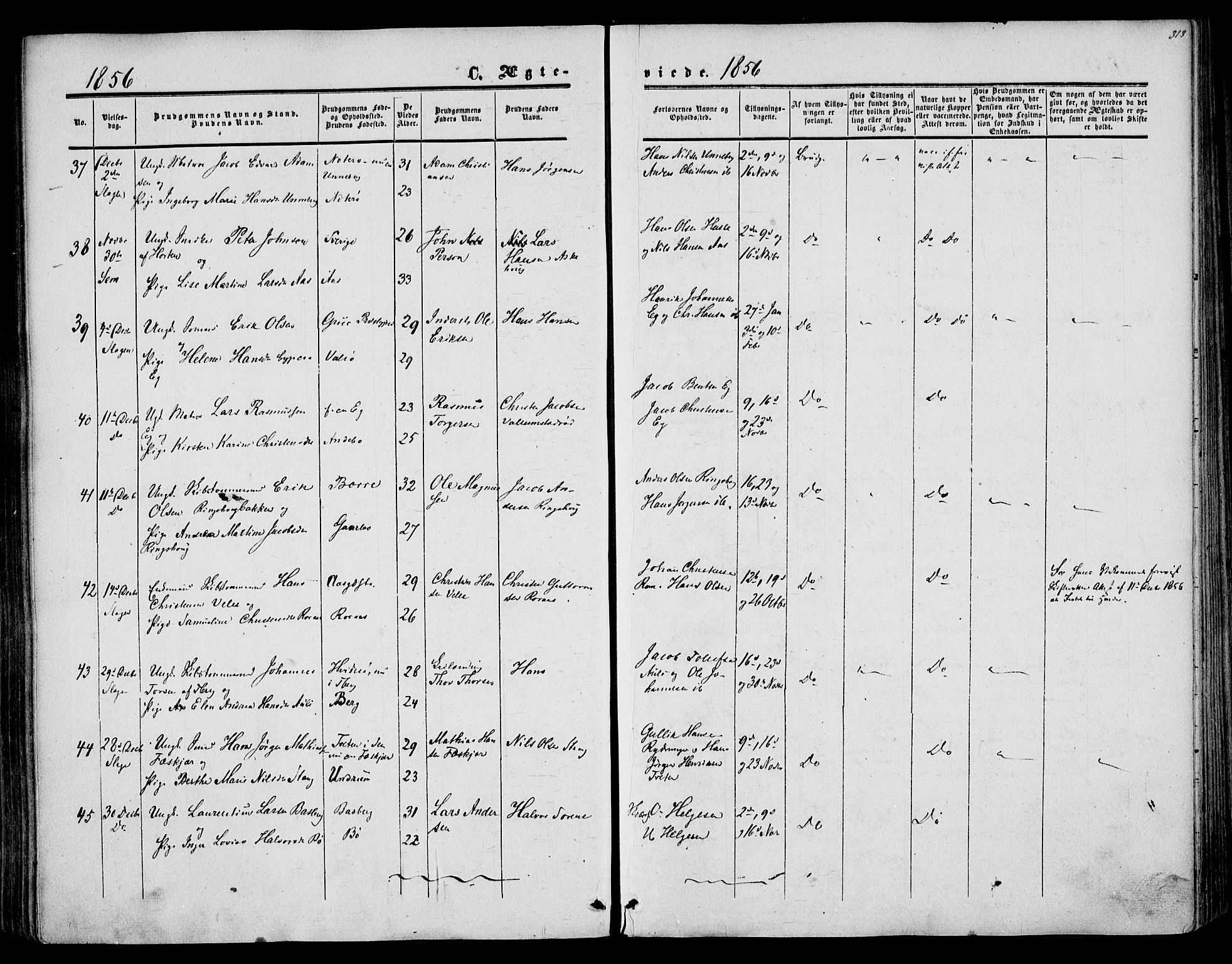 Sem kirkebøker, SAKO/A-5/F/Fa/L0007: Parish register (official) no. I 7, 1856-1865, p. 313