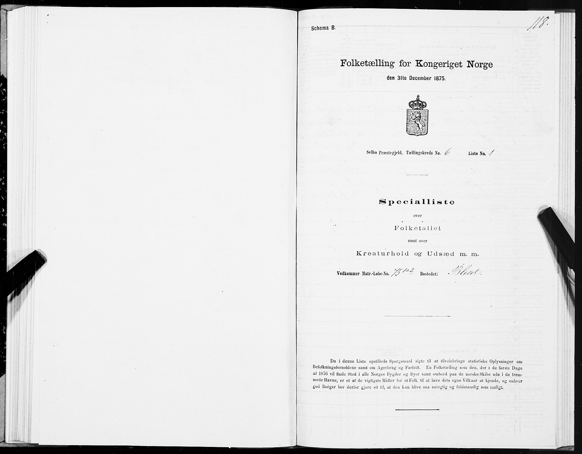 SAT, 1875 census for 1664P Selbu, 1875, p. 3118