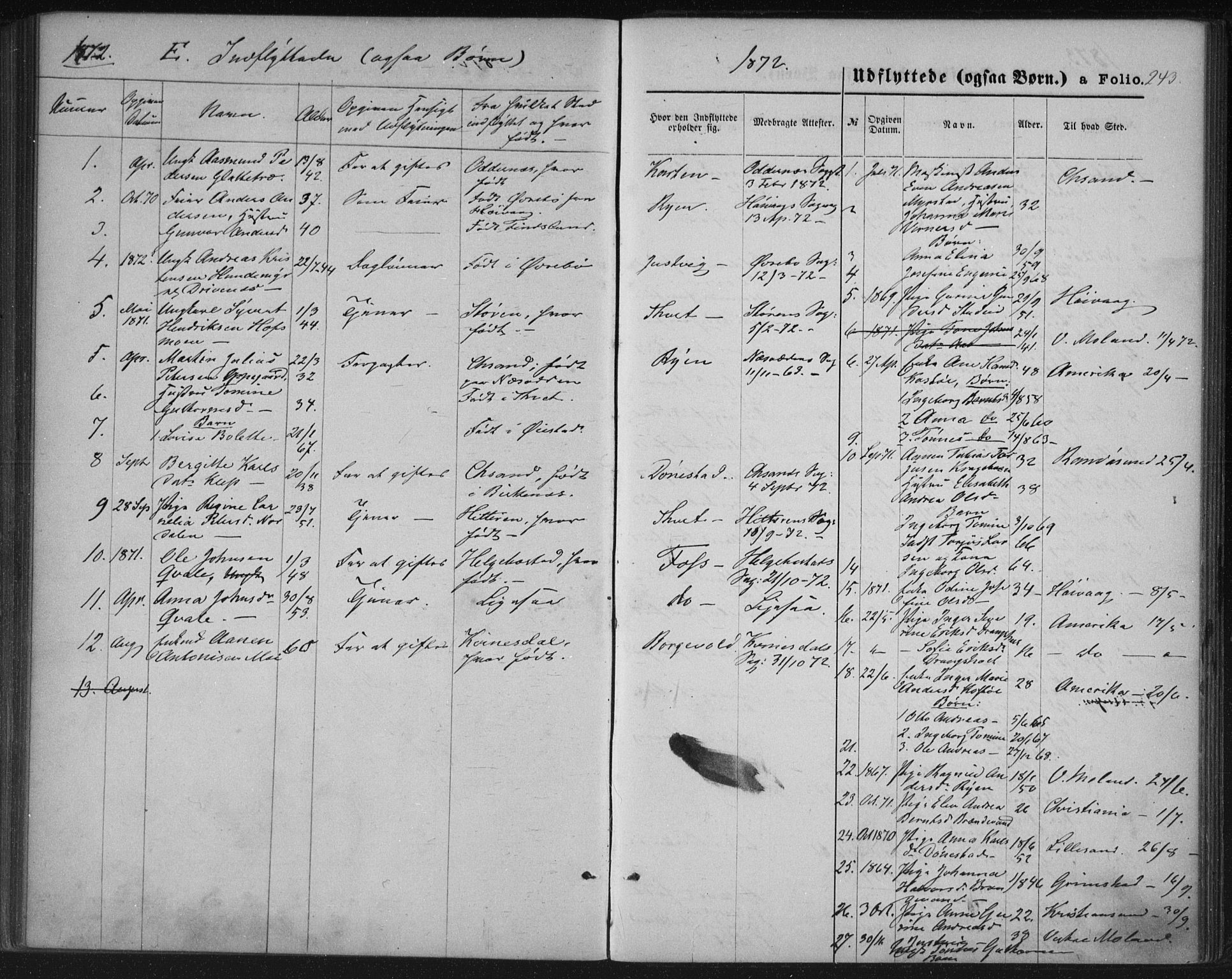 Tveit sokneprestkontor, SAK/1111-0043/F/Fa/L0006: Parish register (official) no. A 6, 1872-1886, p. 243