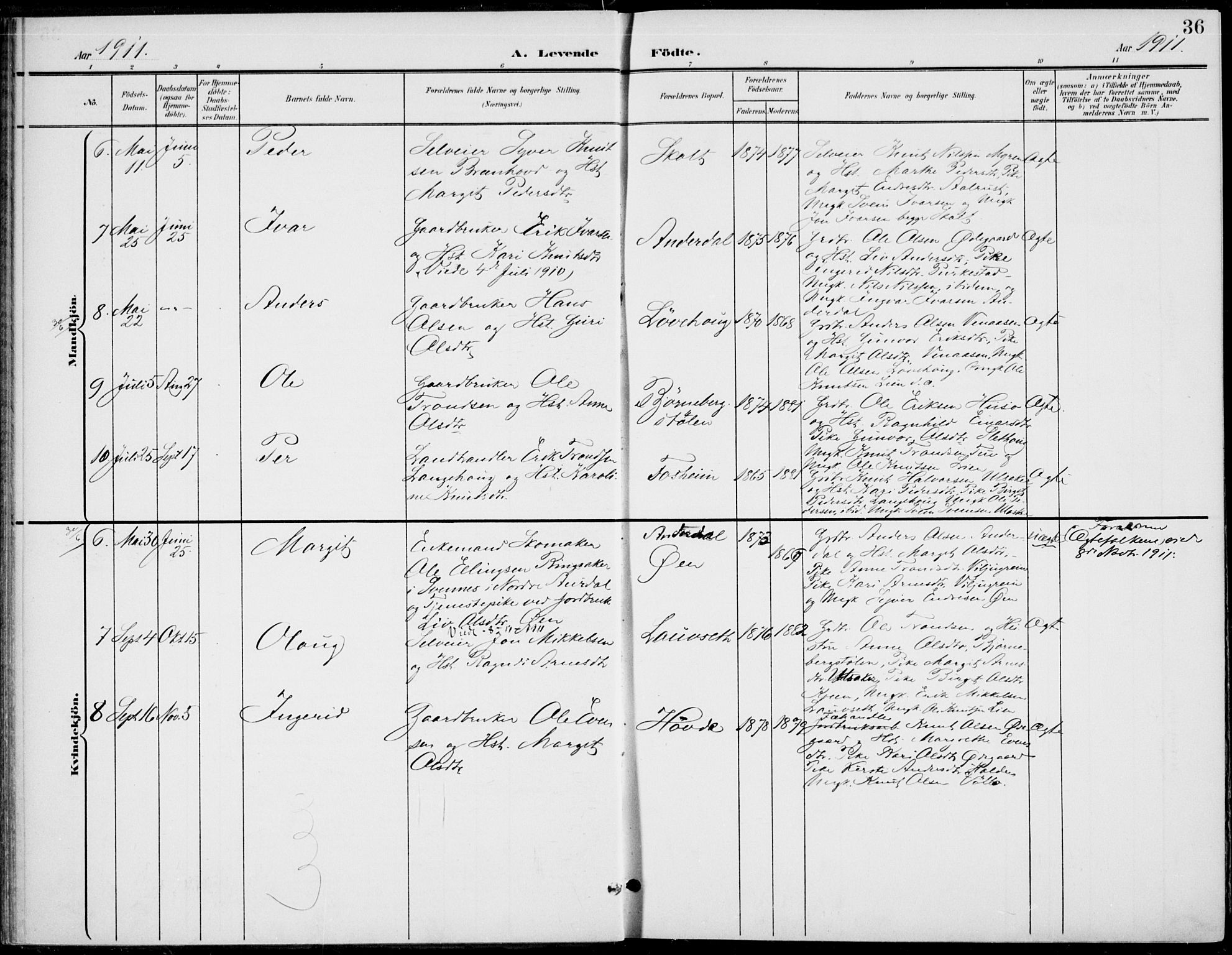 Gol kirkebøker, AV/SAKO-A-226/F/Fb/L0002: Parish register (official) no. II 2, 1900-1921, p. 36