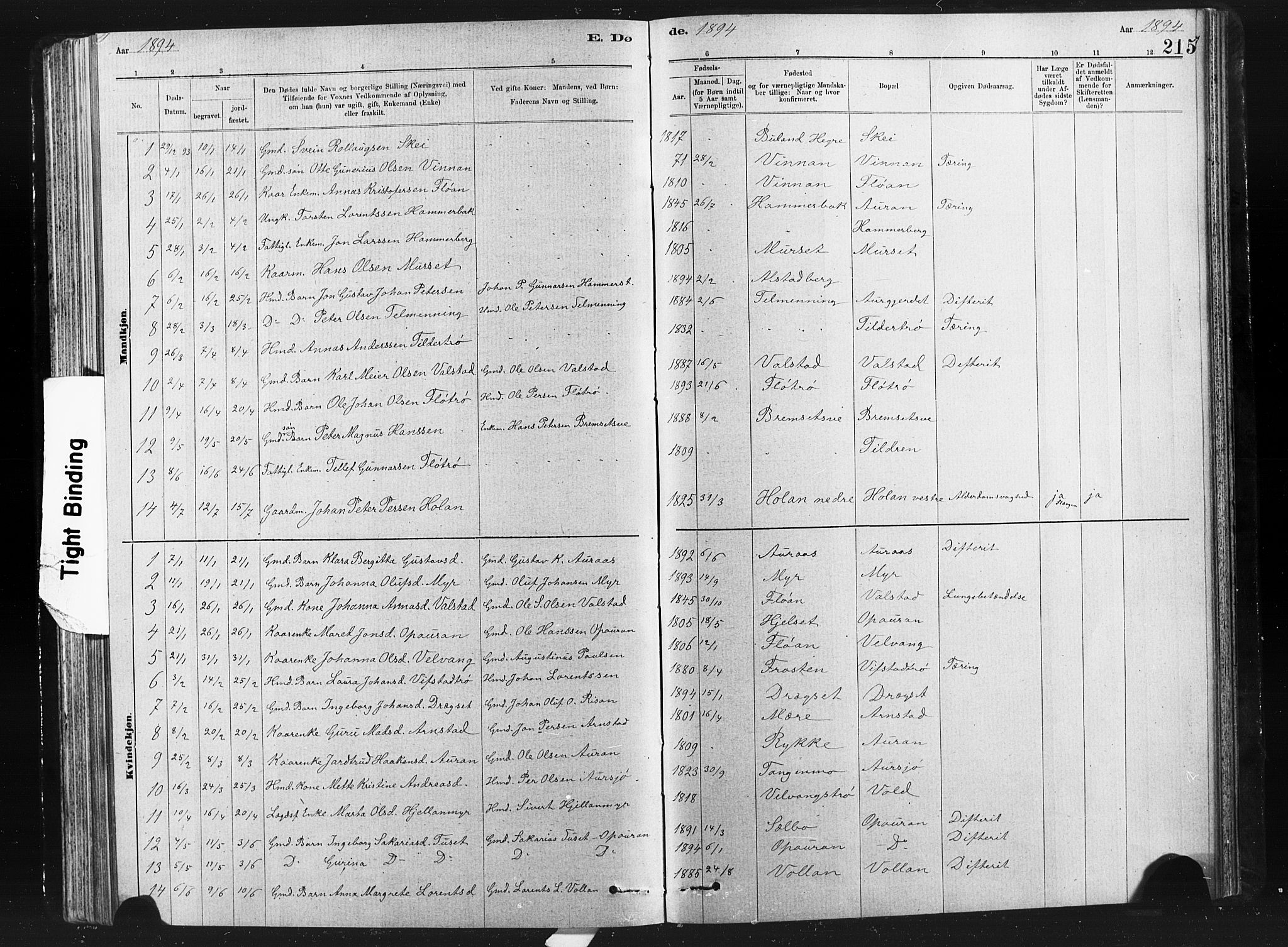 Ministerialprotokoller, klokkerbøker og fødselsregistre - Nord-Trøndelag, SAT/A-1458/712/L0103: Parish register (copy) no. 712C01, 1878-1917, p. 215