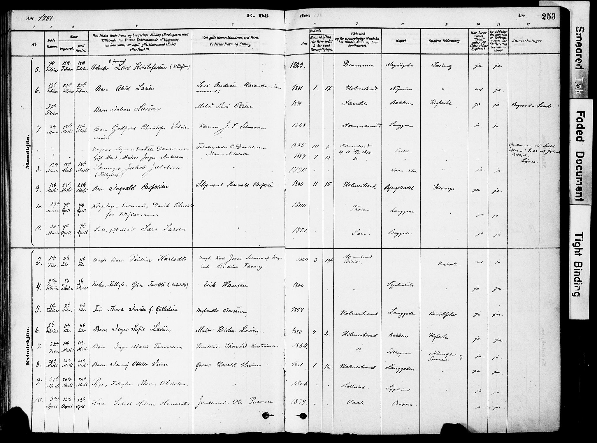 Holmestrand kirkebøker, SAKO/A-346/F/Fa/L0004: Parish register (official) no. 4, 1880-1901, p. 253