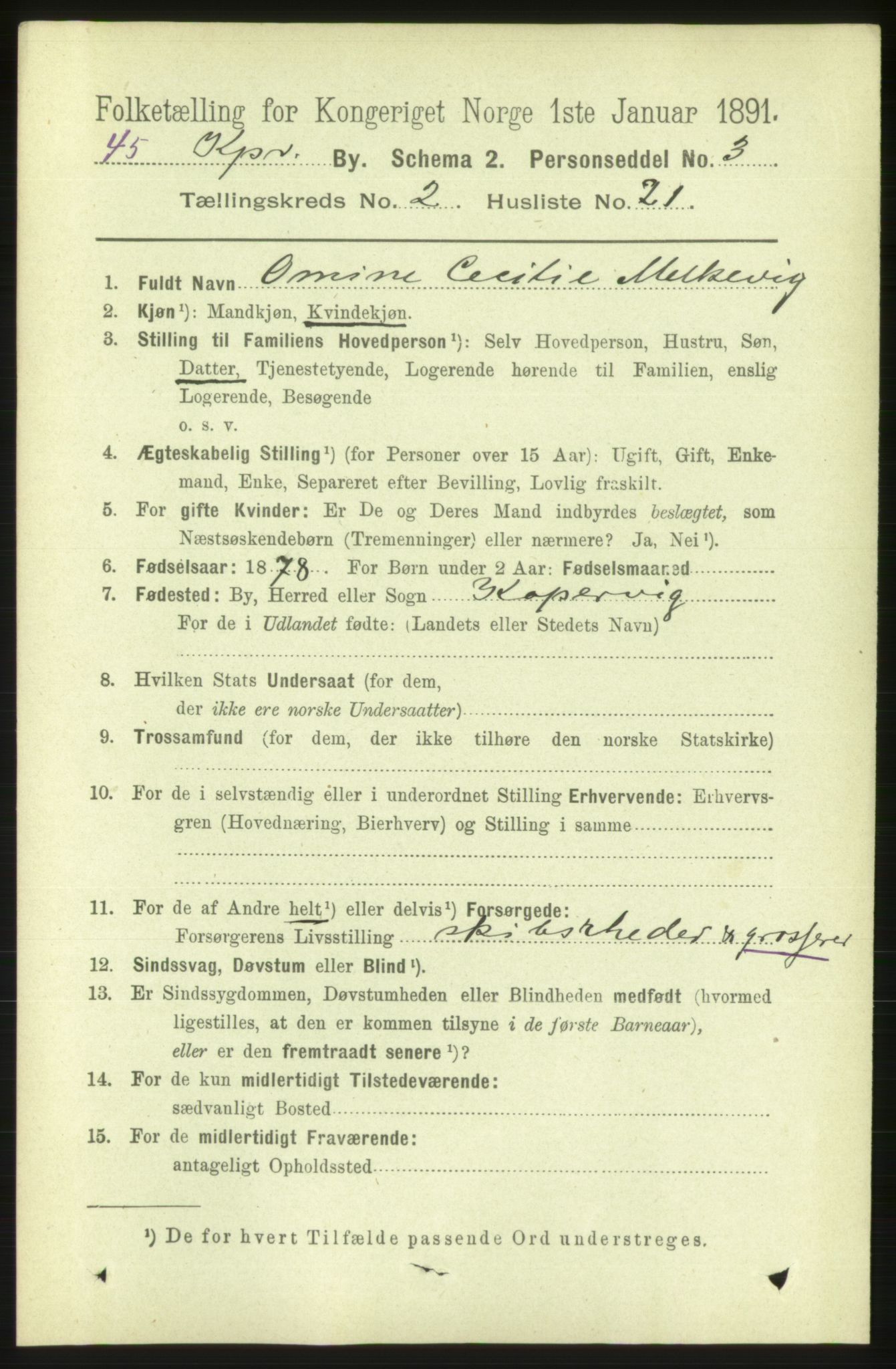 RA, 1891 census for 1105 Kopervik, 1891, p. 239