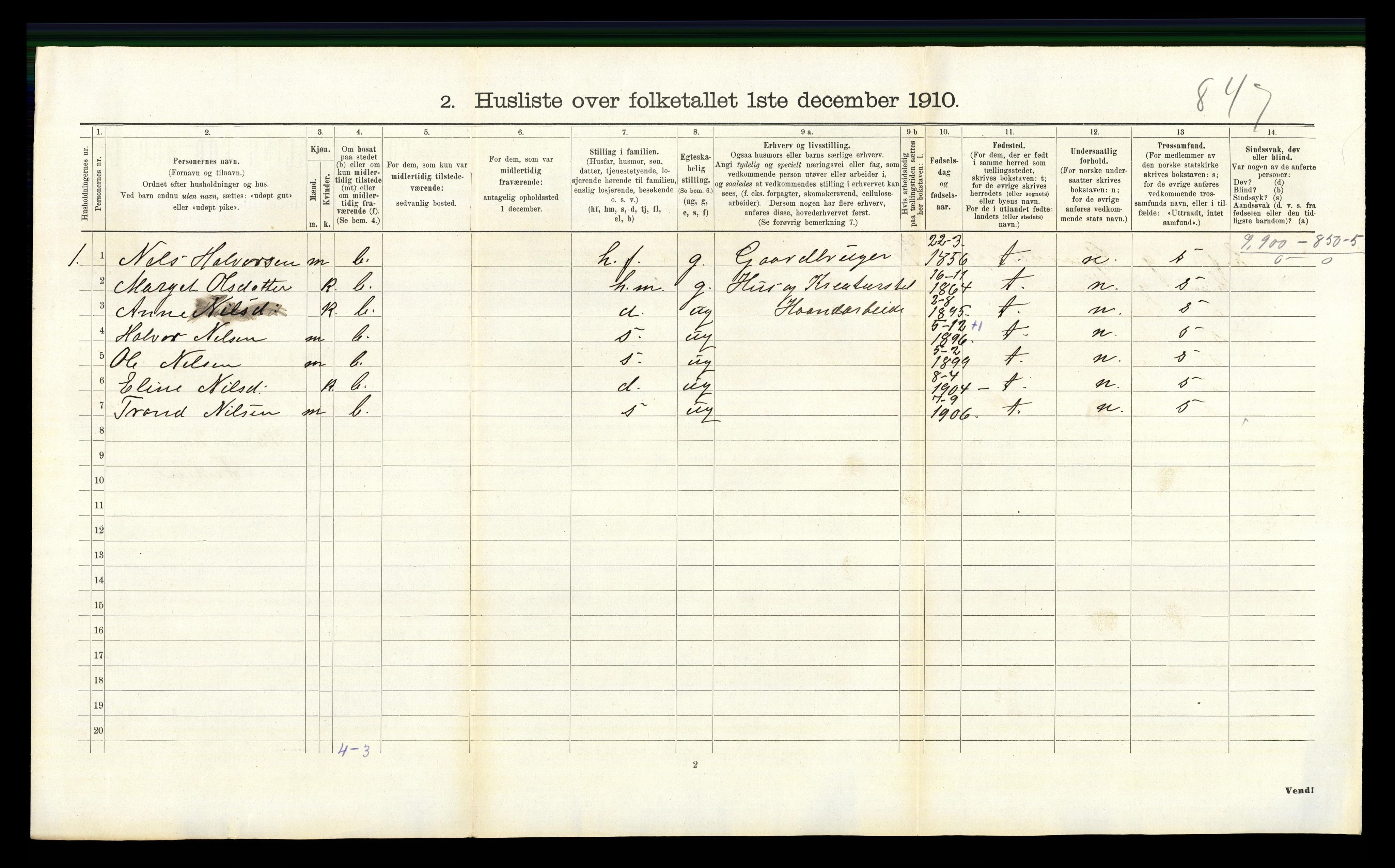 RA, 1910 census for Hemsedal, 1910, p. 339