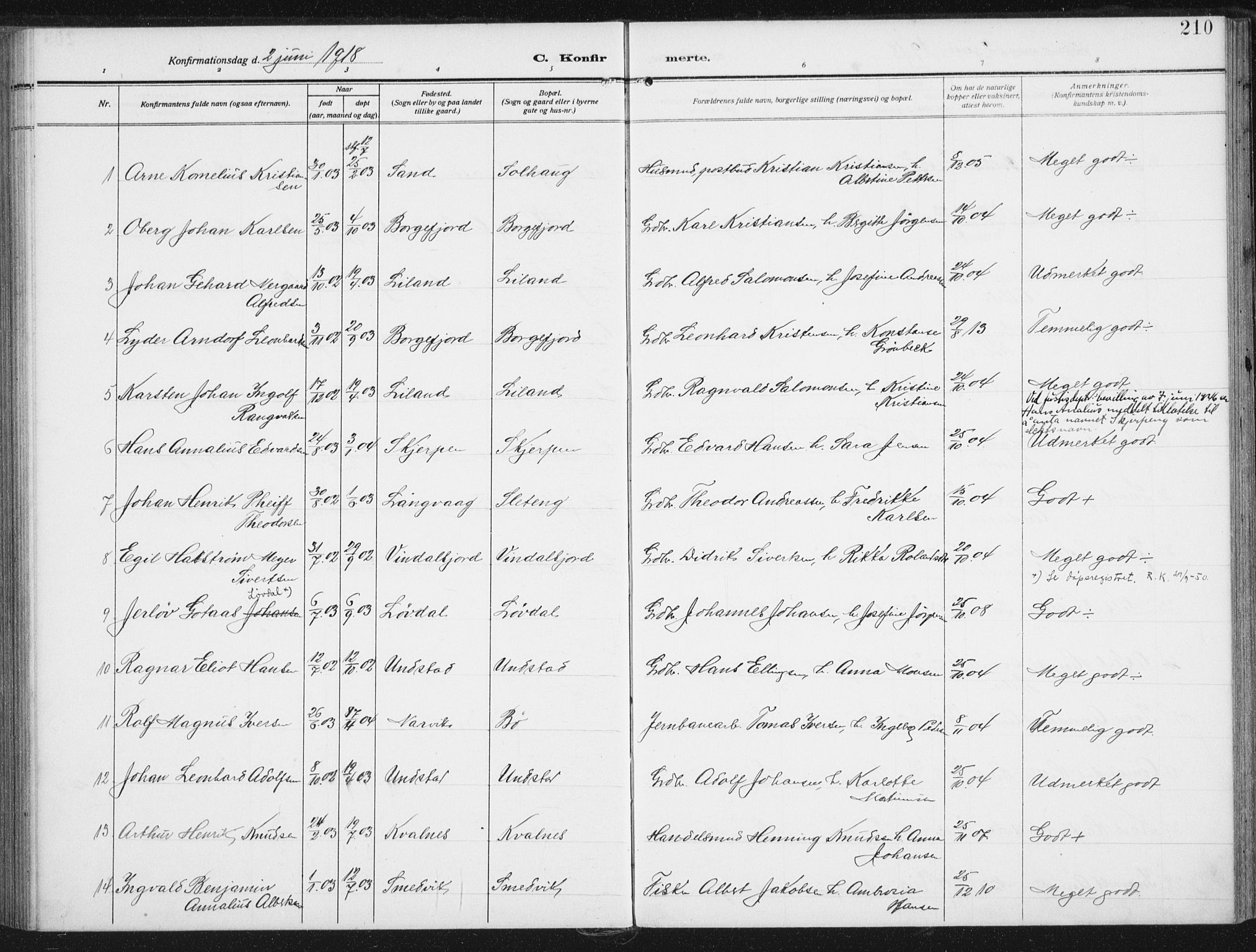 Ministerialprotokoller, klokkerbøker og fødselsregistre - Nordland, SAT/A-1459/880/L1135: Parish register (official) no. 880A09, 1908-1919, p. 210