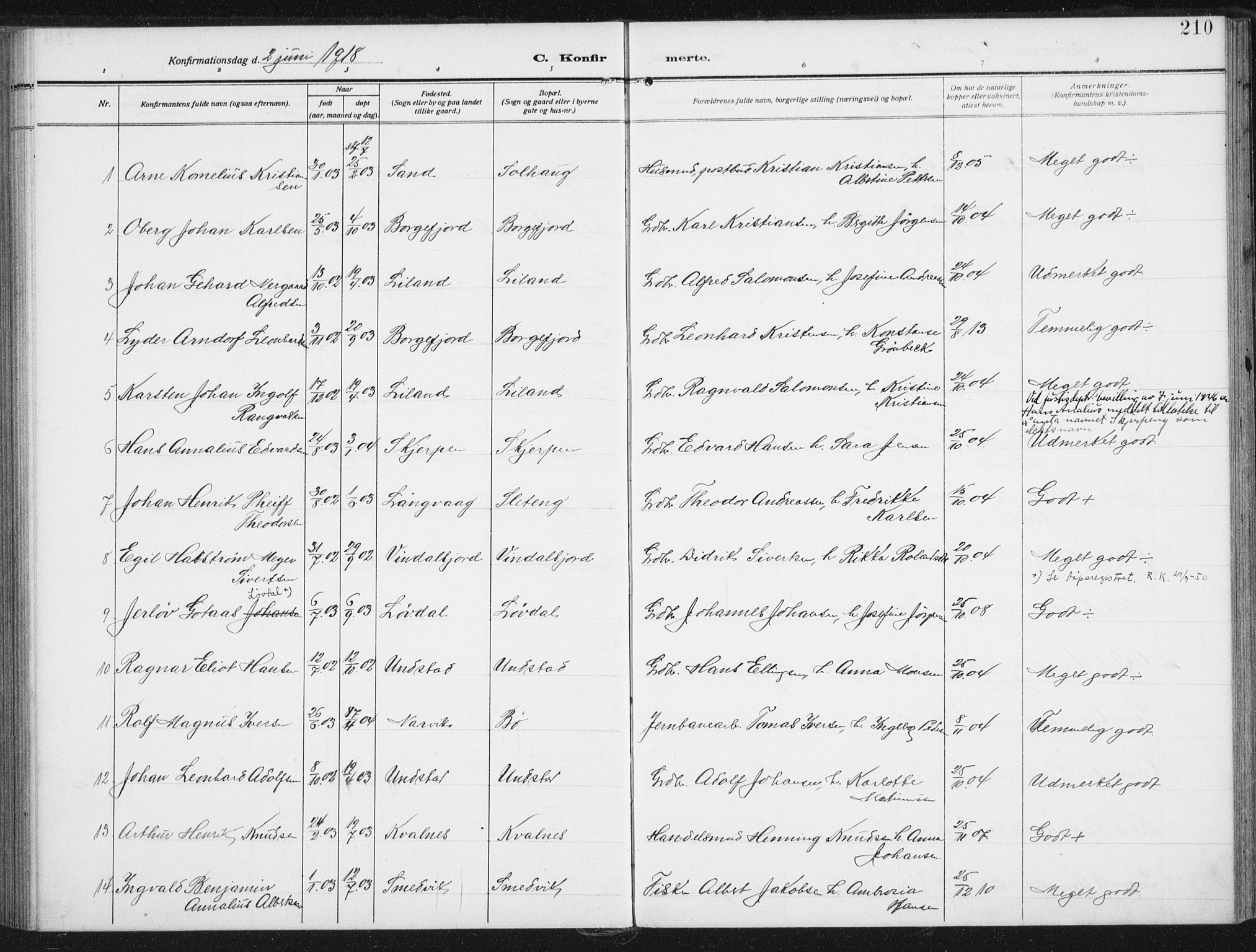 Ministerialprotokoller, klokkerbøker og fødselsregistre - Nordland, AV/SAT-A-1459/880/L1135: Parish register (official) no. 880A09, 1908-1919, p. 210