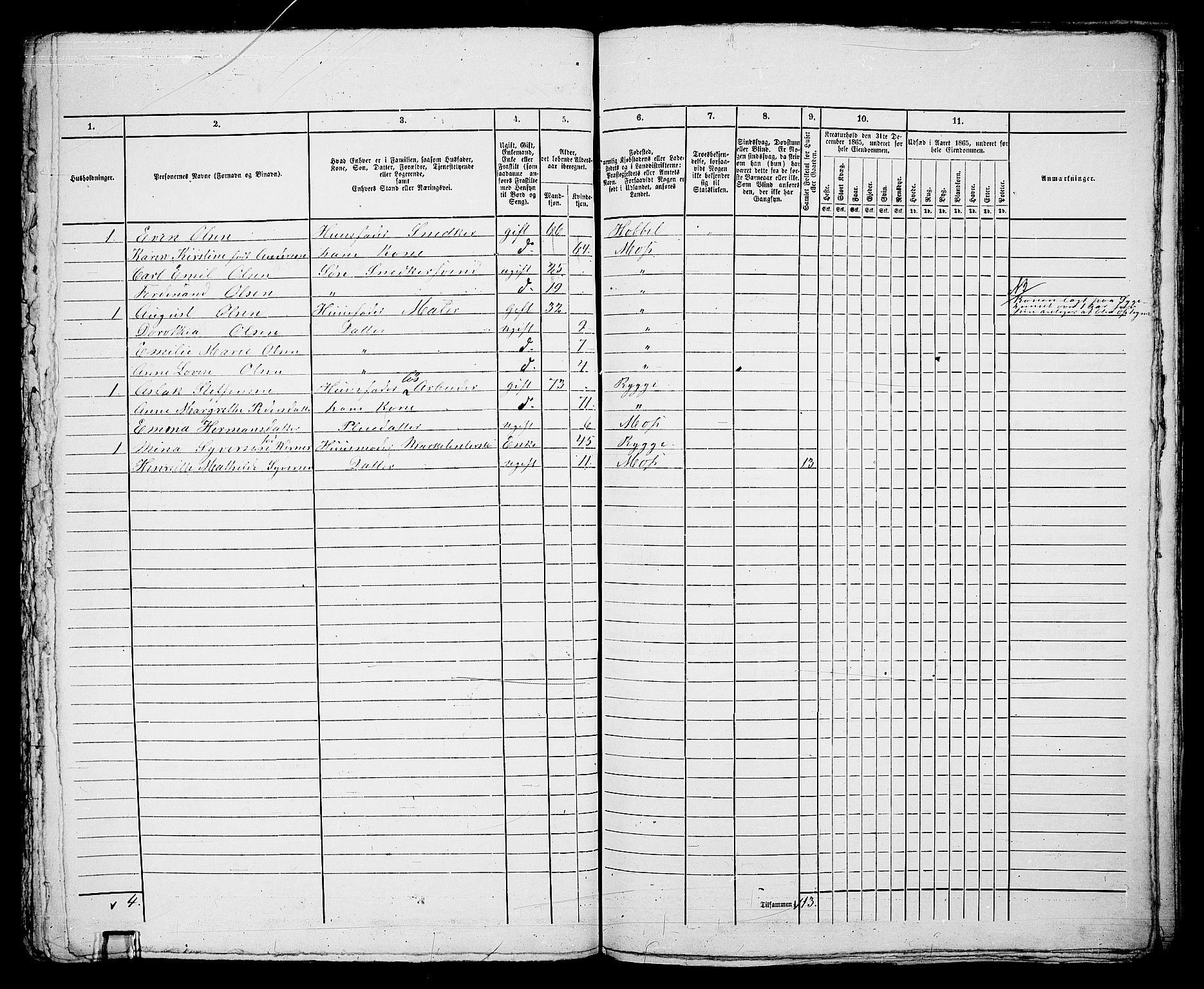 RA, 1865 census for Moss/Moss, 1865, p. 331