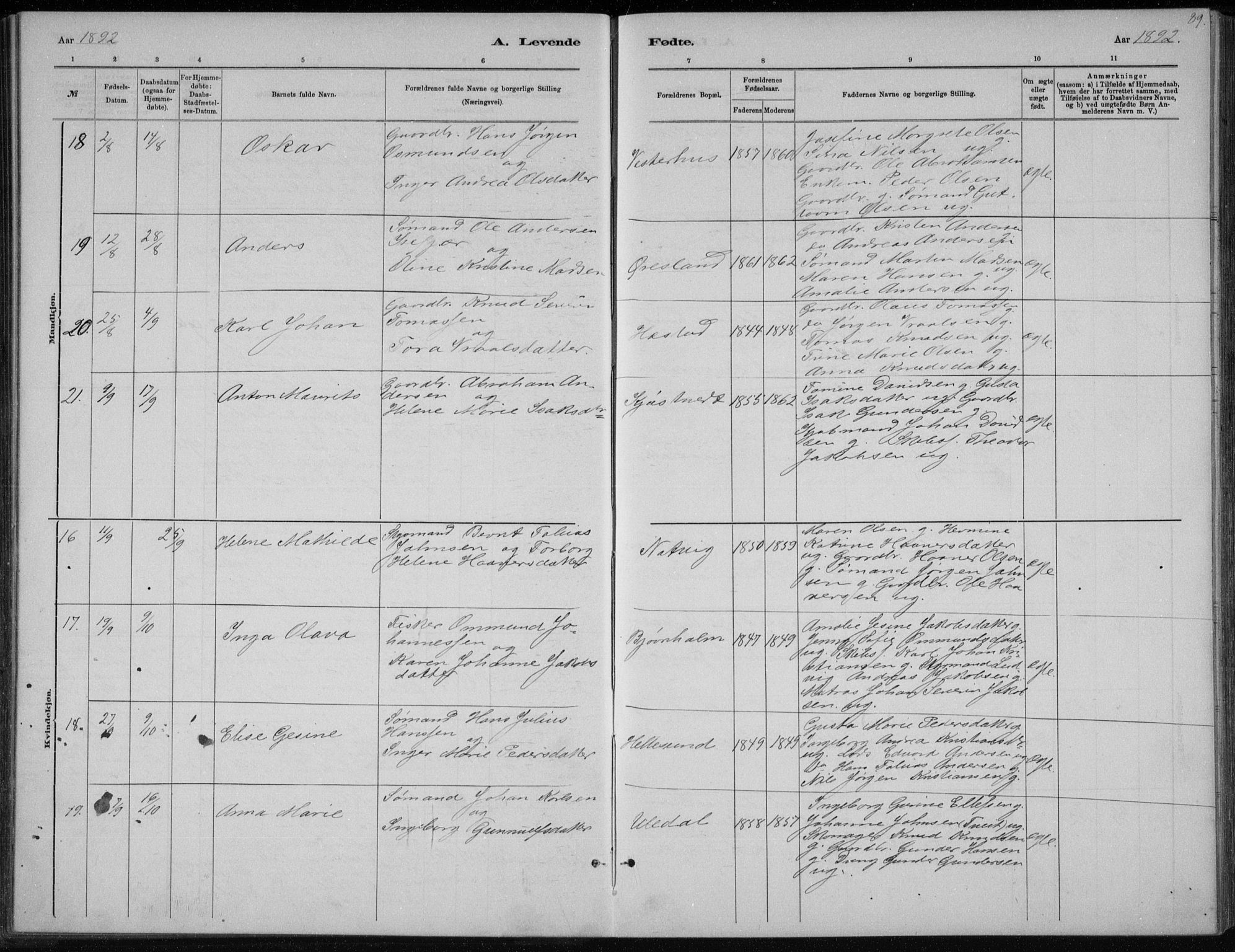 Høvåg sokneprestkontor, AV/SAK-1111-0025/F/Fb/L0004: Parish register (copy) no. B 4, 1883-1898, p. 89