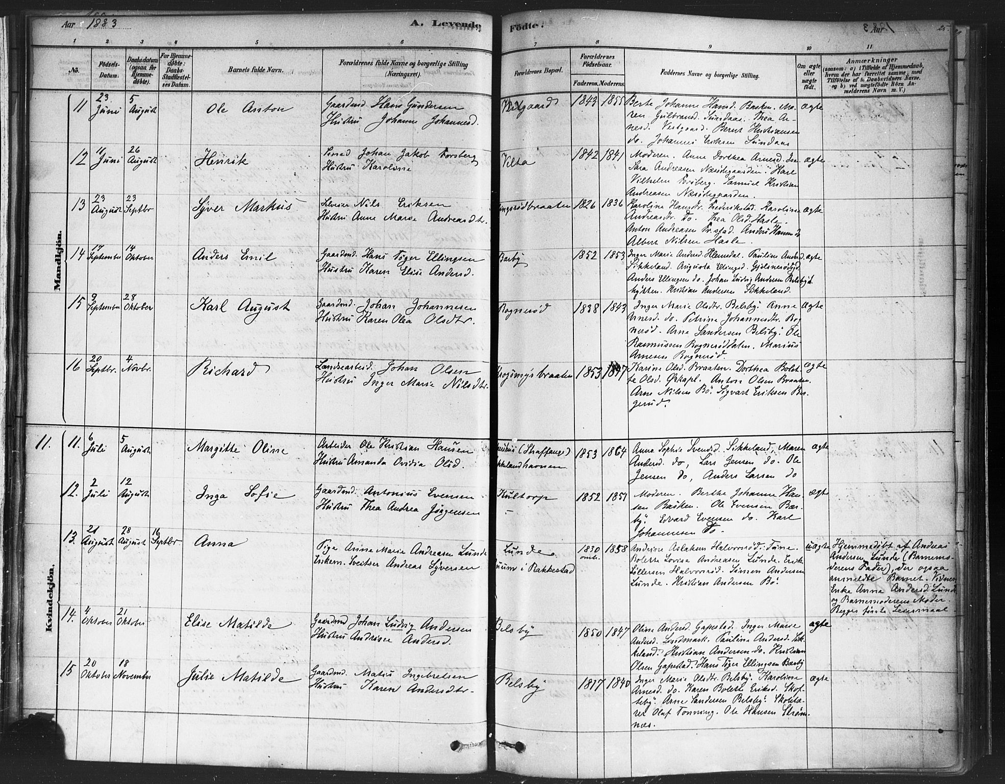 Varteig prestekontor Kirkebøker, SAO/A-10447a/F/Fa/L0002: Parish register (official) no. 2, 1878-1899, p. 25