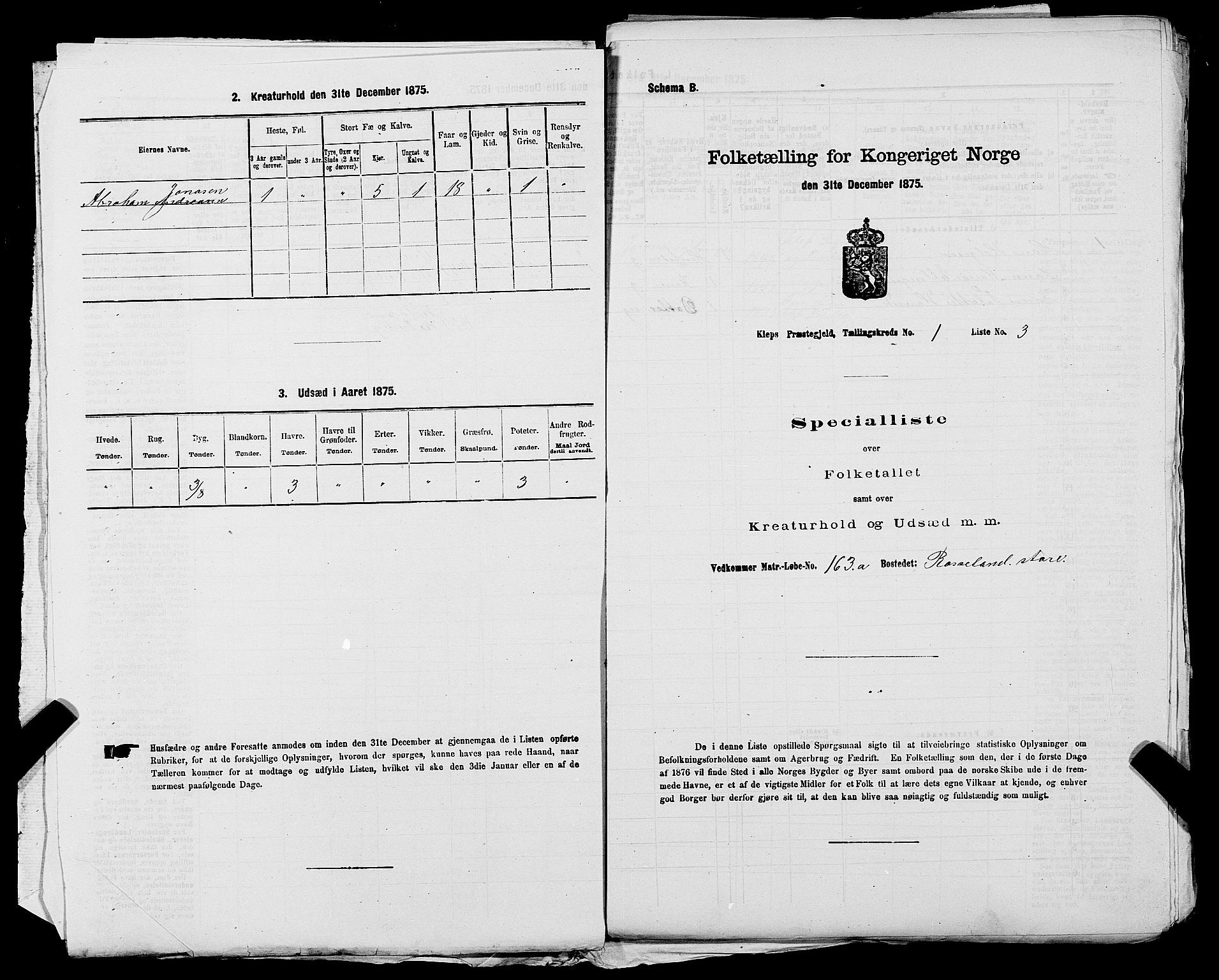 SAST, 1875 census for 1120P Klepp, 1875, p. 41