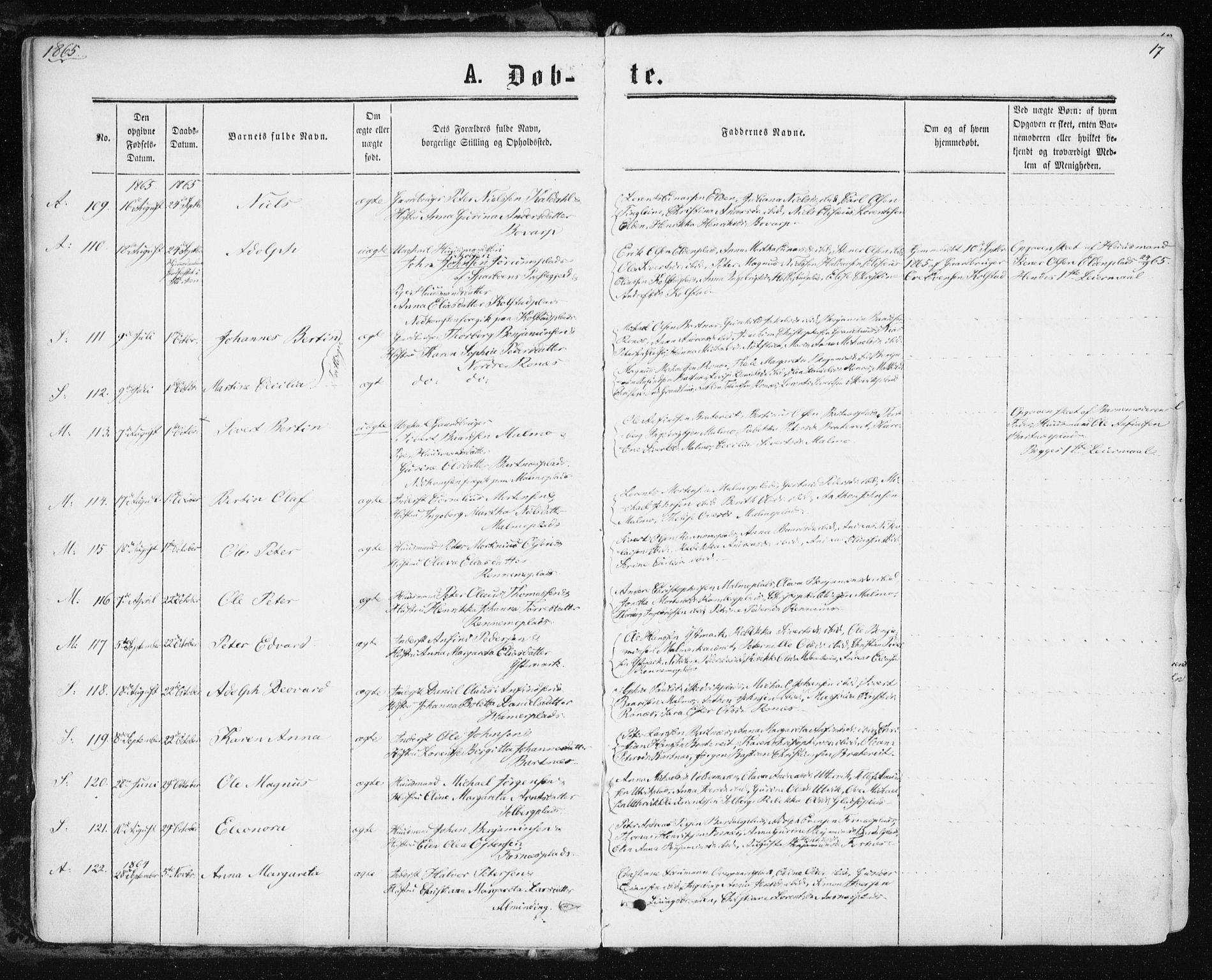 Ministerialprotokoller, klokkerbøker og fødselsregistre - Nord-Trøndelag, AV/SAT-A-1458/741/L0394: Parish register (official) no. 741A08, 1864-1877, p. 17