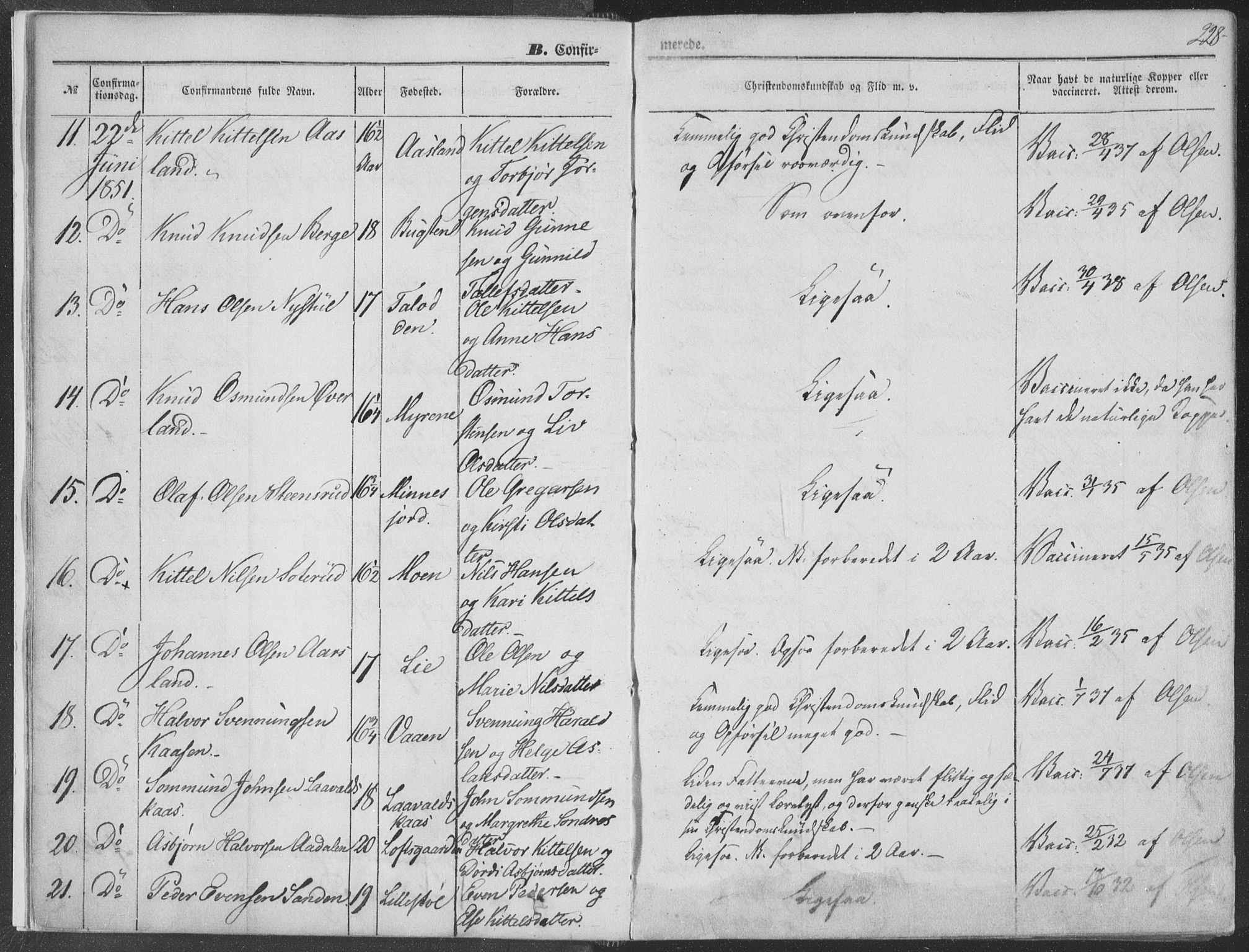 Seljord kirkebøker, SAKO/A-20/F/Fa/L012b: Parish register (official) no. I 12B, 1850-1865, p. 228