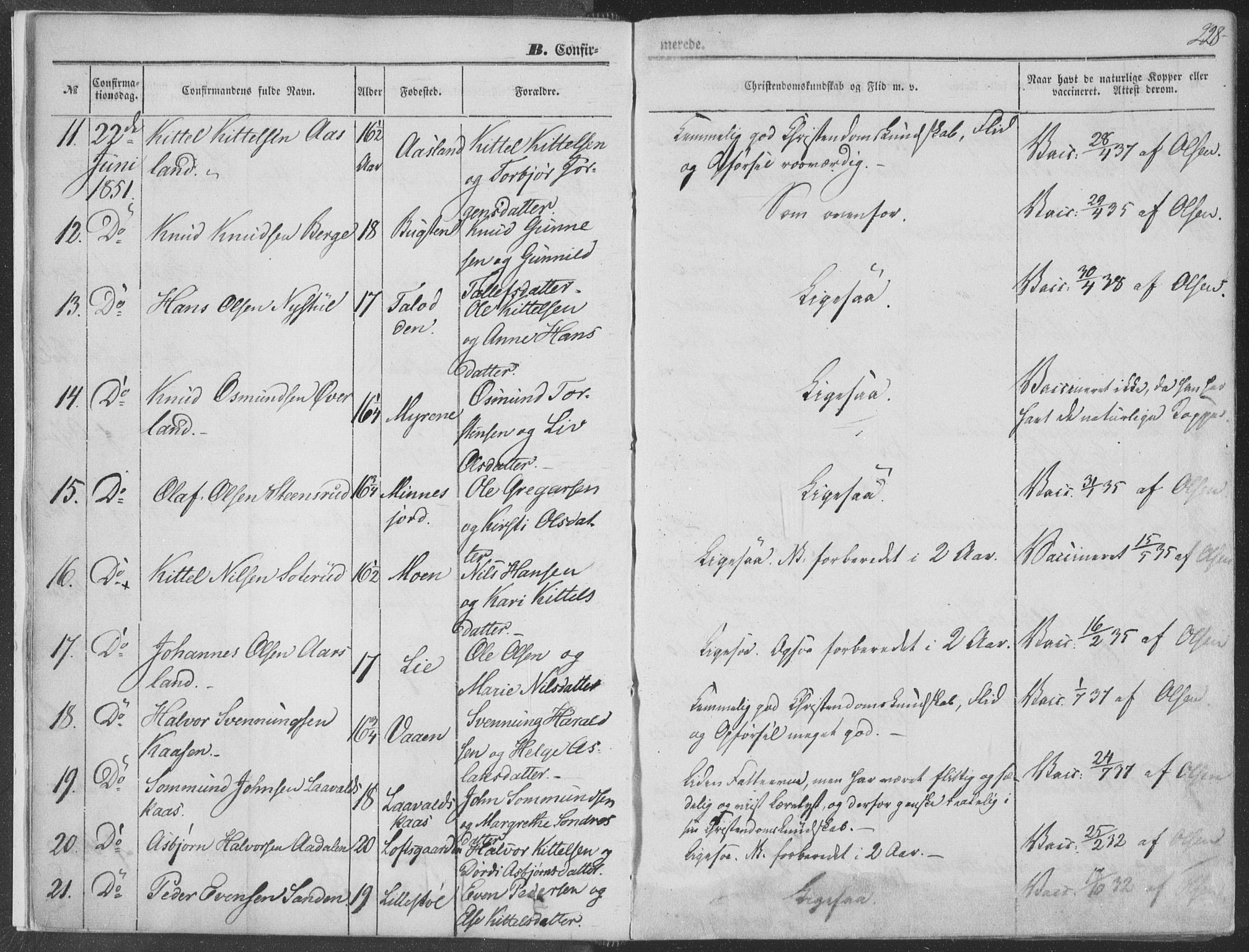 Seljord kirkebøker, AV/SAKO-A-20/F/Fa/L012b: Parish register (official) no. I 12B, 1850-1865, p. 228