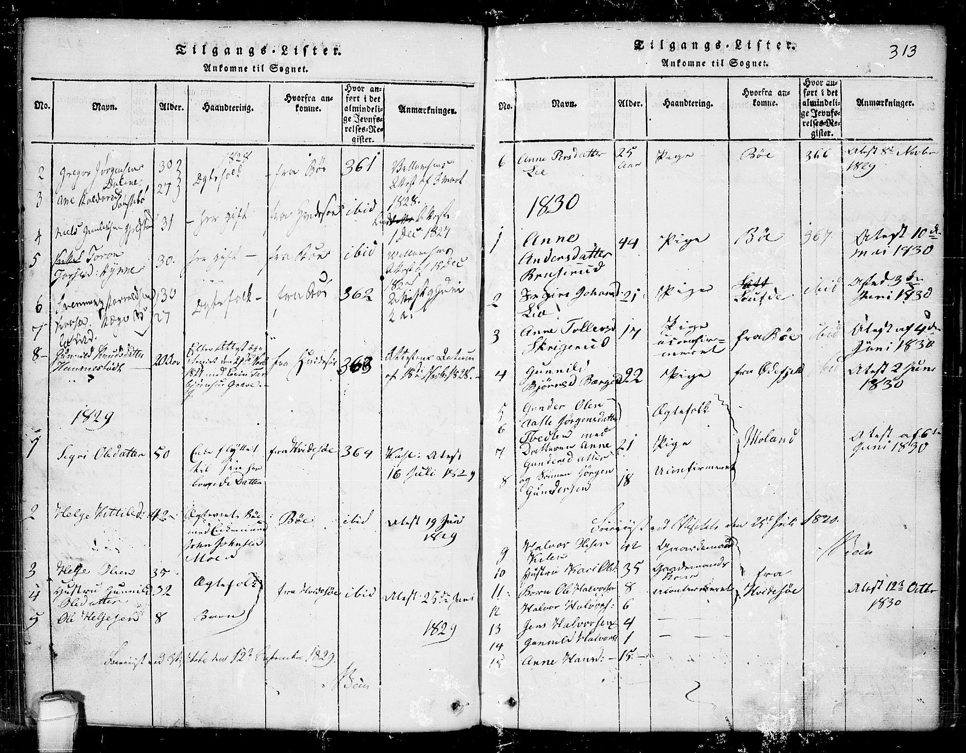 Seljord kirkebøker, SAKO/A-20/G/Ga/L0001: Parish register (copy) no. I 1, 1815-1854, p. 313