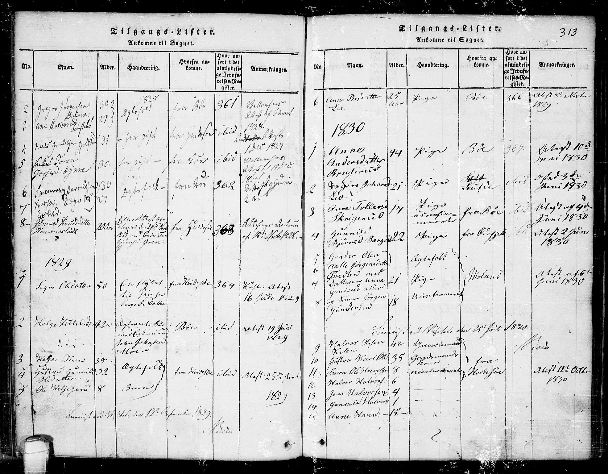 Seljord kirkebøker, AV/SAKO-A-20/G/Ga/L0001: Parish register (copy) no. I 1, 1815-1854, p. 313