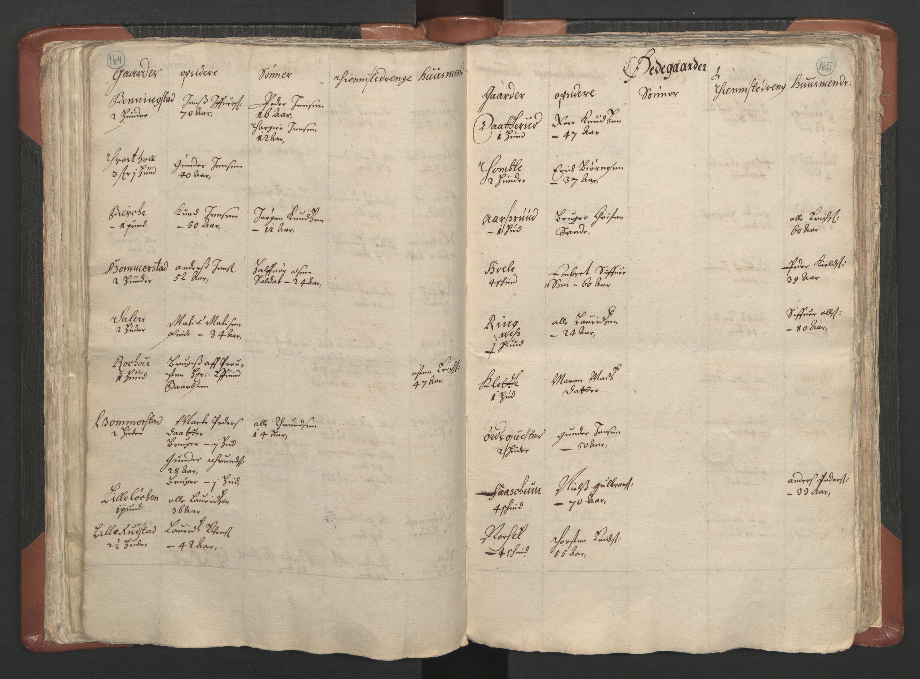 RA, Vicar's Census 1664-1666, no. 5: Hedmark deanery, 1664-1666, p. 164-165