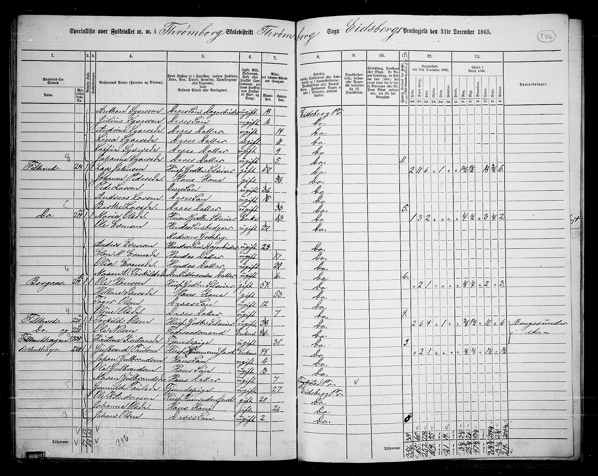 RA, 1865 census for Eidsberg, 1865, p. 223