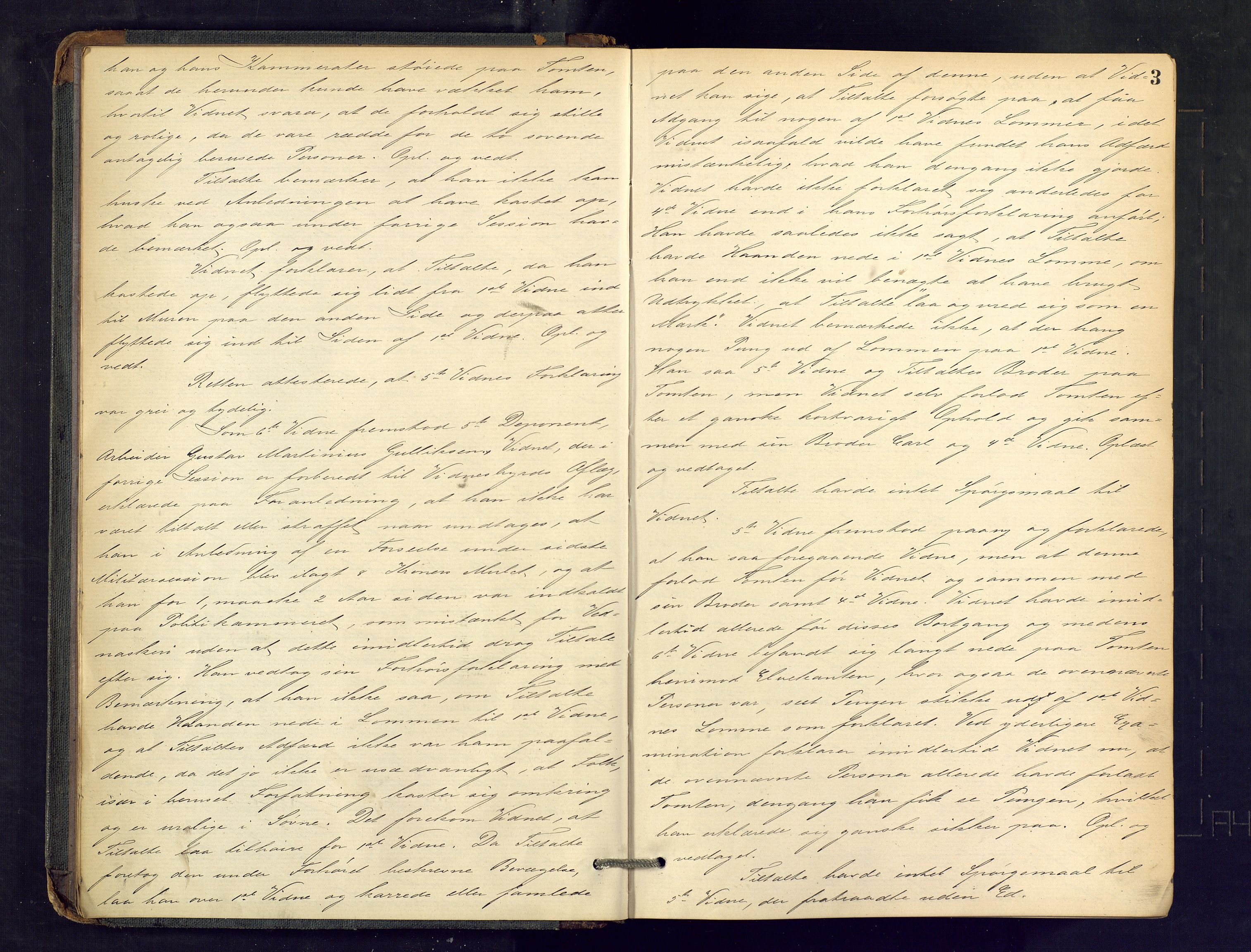 Drammen byfogd, AV/SAKO-A-222/F/Fe/L0023: Ekstrarettsprotokoll, 1885-1891, p. 3