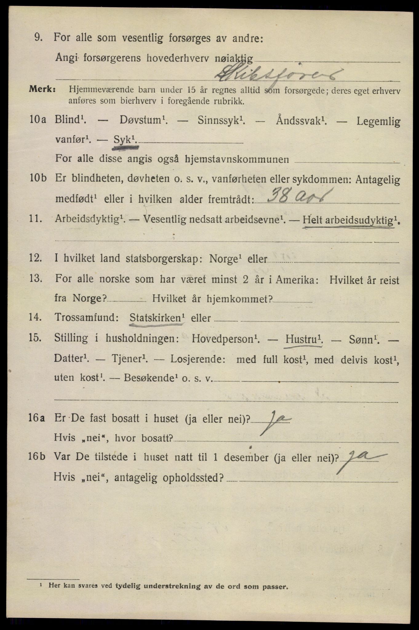 SAKO, 1920 census for Kragerø, 1920, p. 12996
