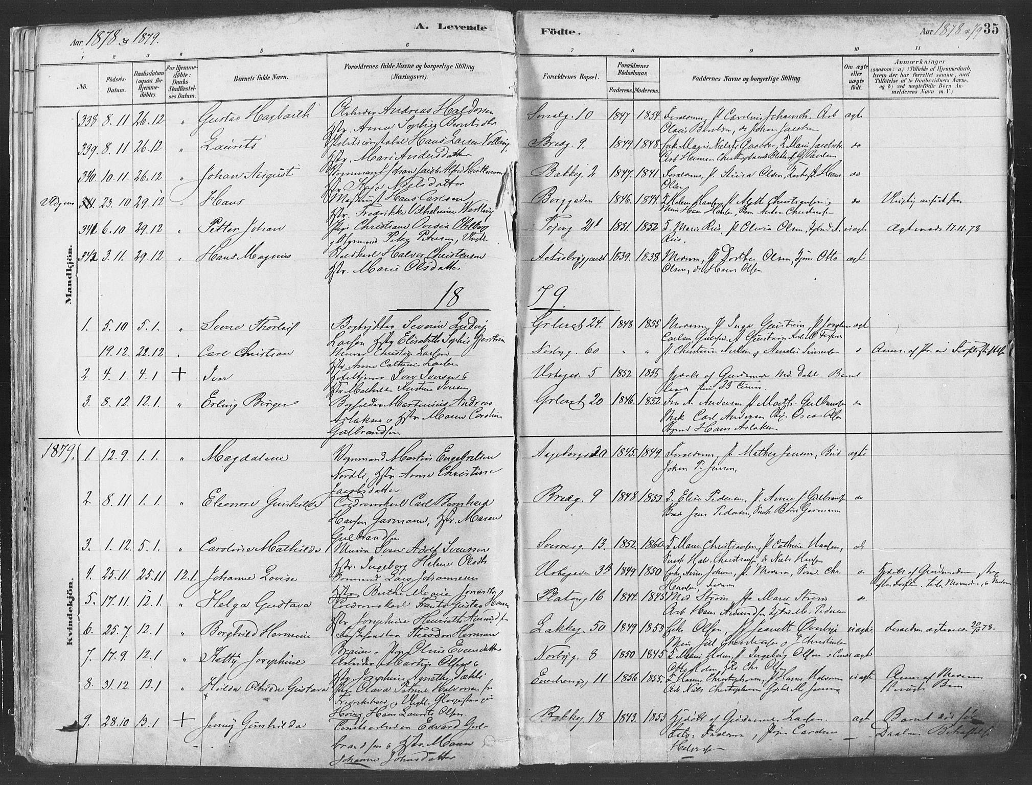 Grønland prestekontor Kirkebøker, SAO/A-10848/F/Fa/L0007: Parish register (official) no. 7, 1878-1888, p. 35