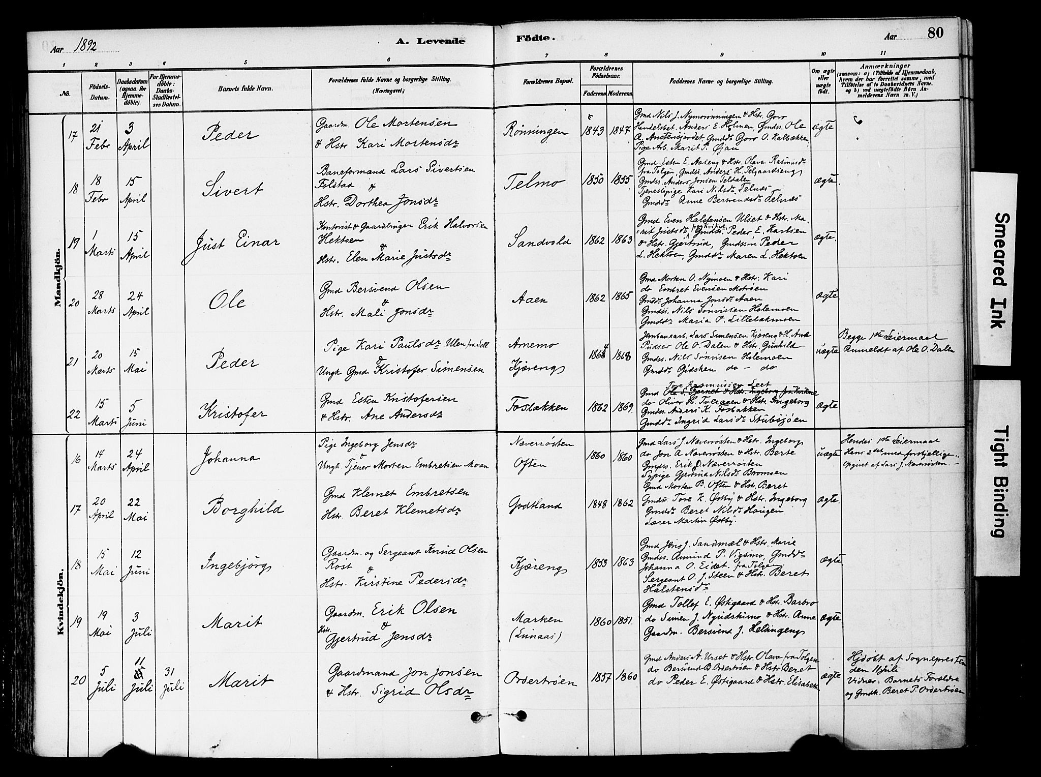 Tynset prestekontor, AV/SAH-PREST-058/H/Ha/Haa/L0022: Parish register (official) no. 22, 1880-1899, p. 80