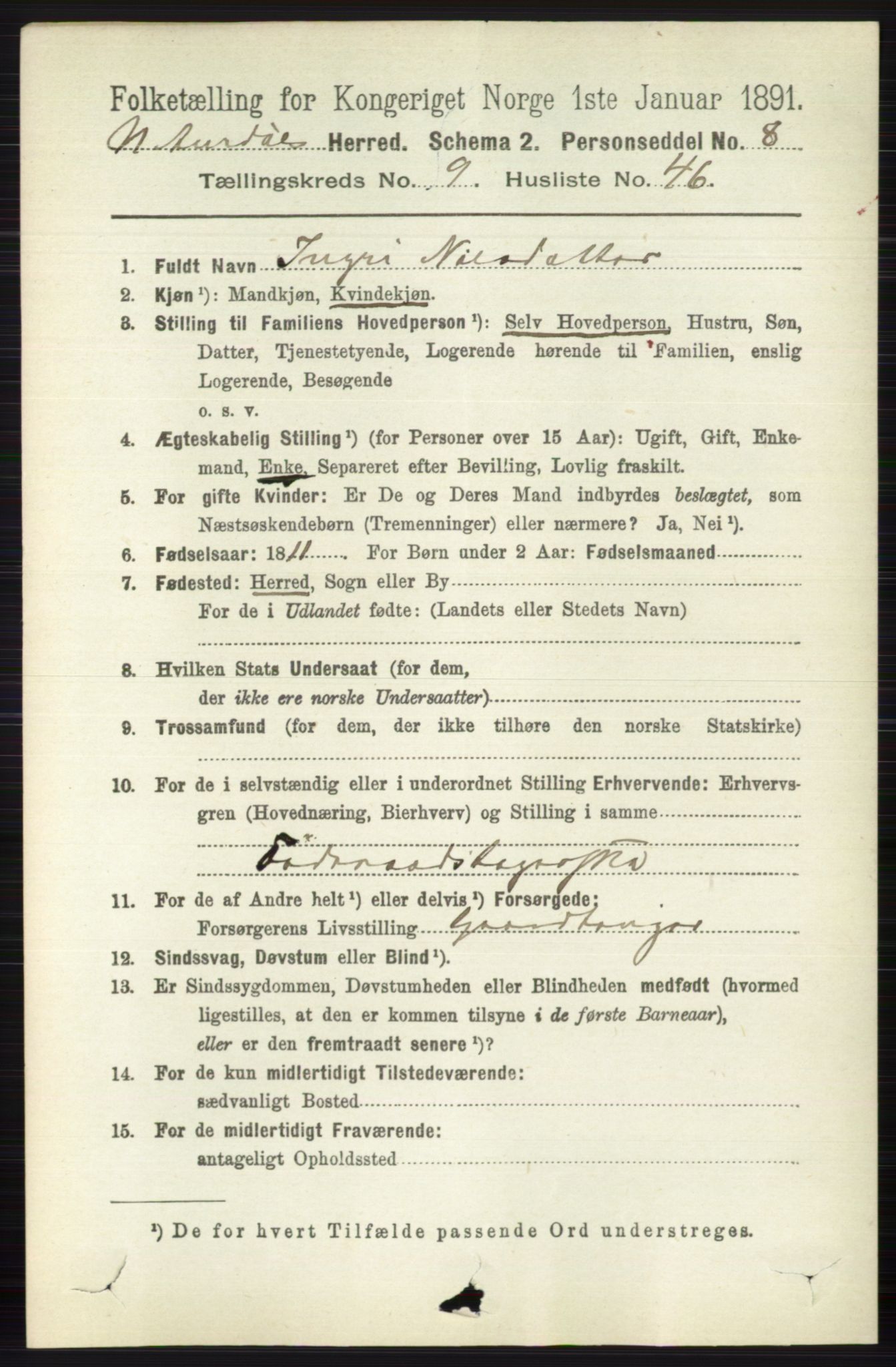 RA, 1891 census for 0542 Nord-Aurdal, 1891, p. 3676