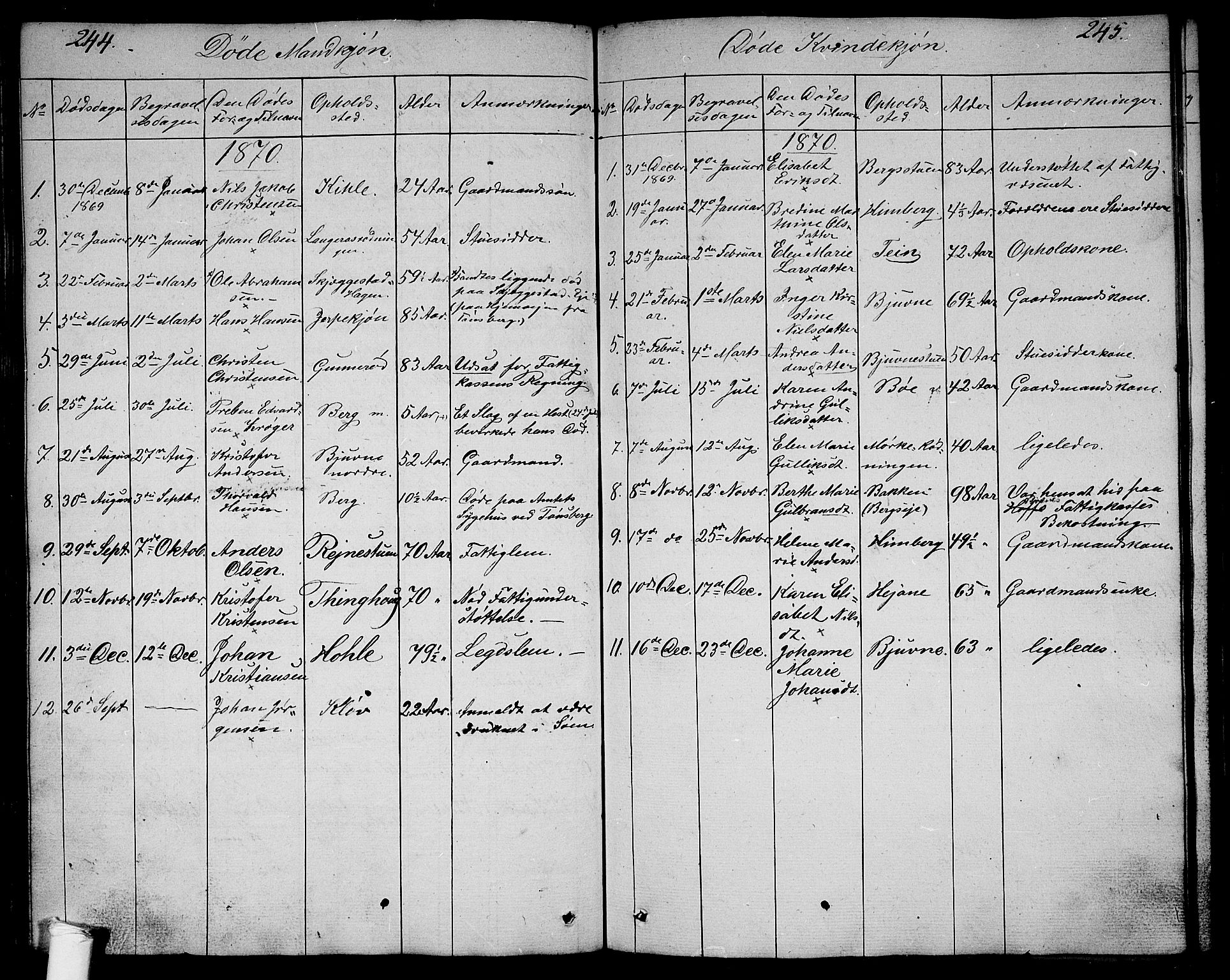 Ramnes kirkebøker, SAKO/A-314/G/Ga/L0002: Parish register (copy) no. I 2, 1848-1870, p. 244-245