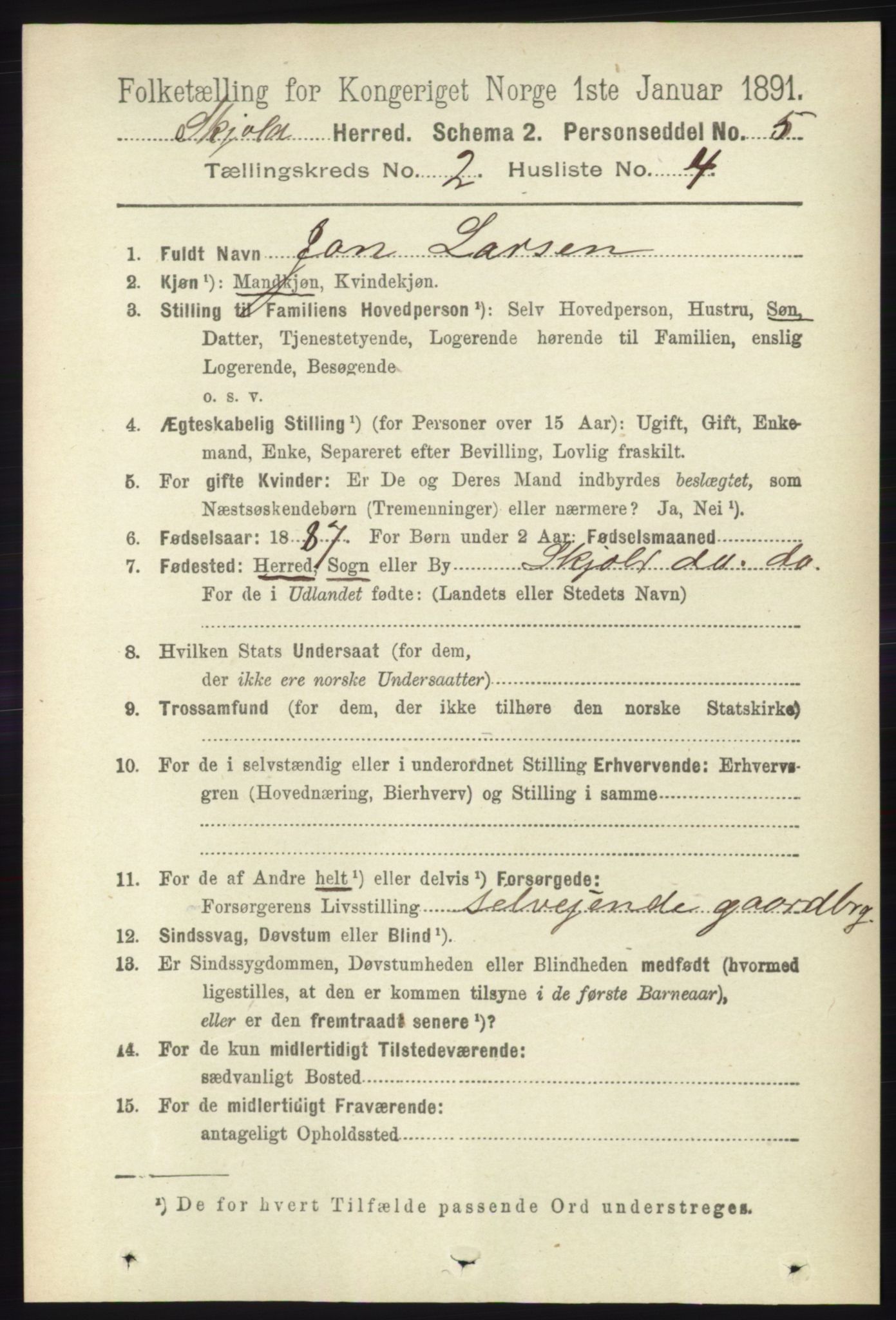 RA, 1891 census for 1154 Skjold, 1891, p. 303