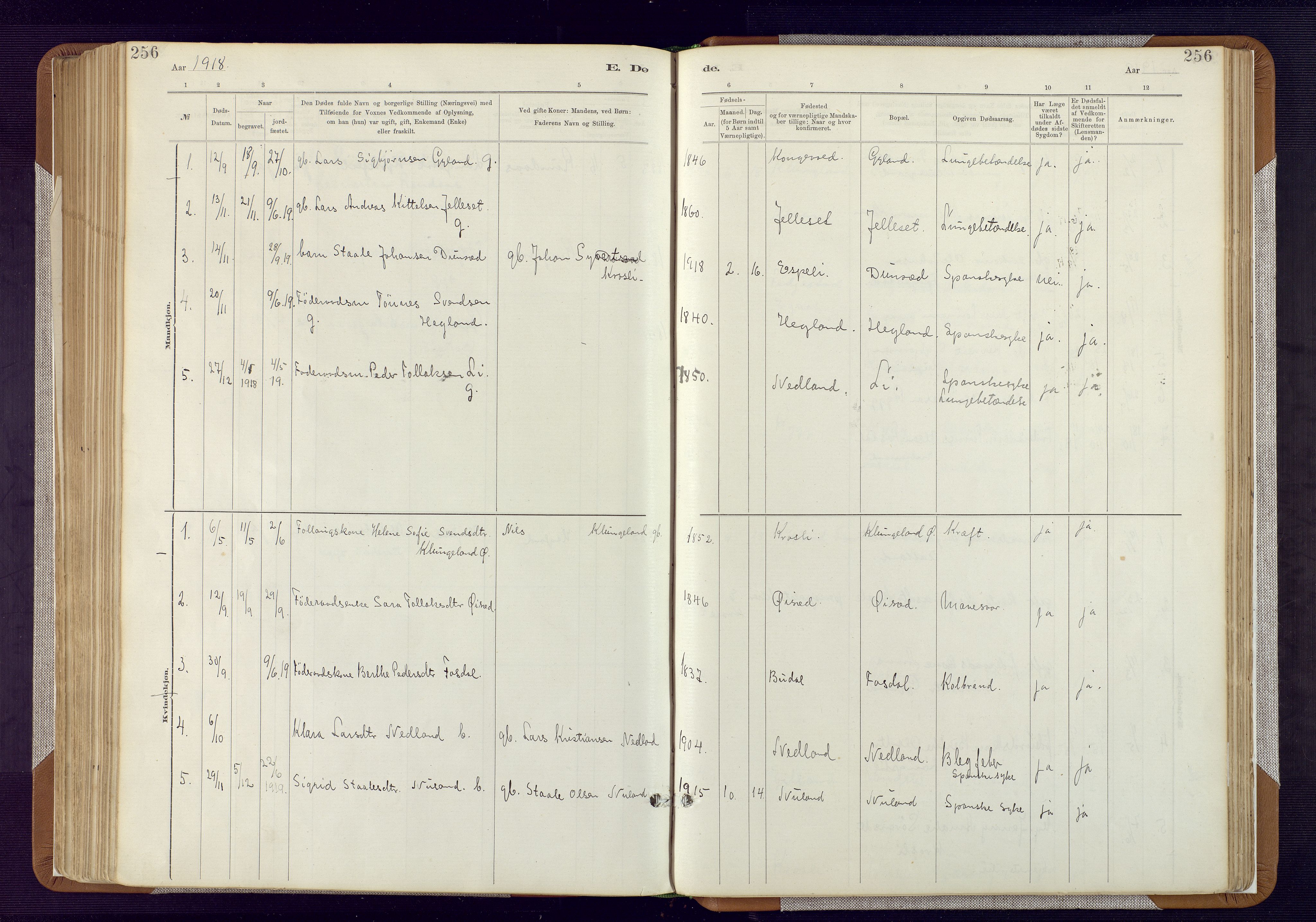 Bakke sokneprestkontor, AV/SAK-1111-0002/F/Fa/Fab/L0003: Parish register (official) no. A 3, 1884-1921, p. 256