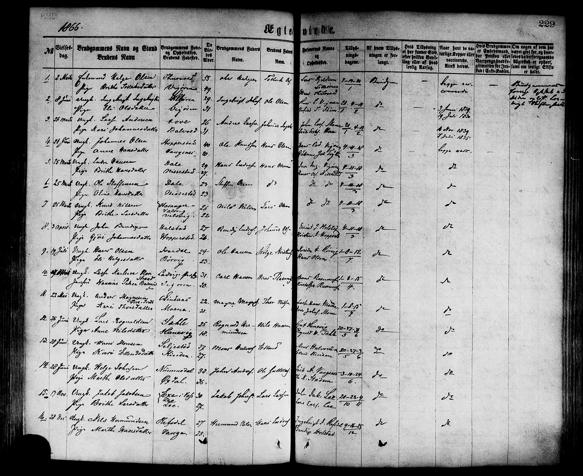 Vik sokneprestembete, SAB/A-81501: Parish register (official) no. A 9, 1866-1877, p. 229