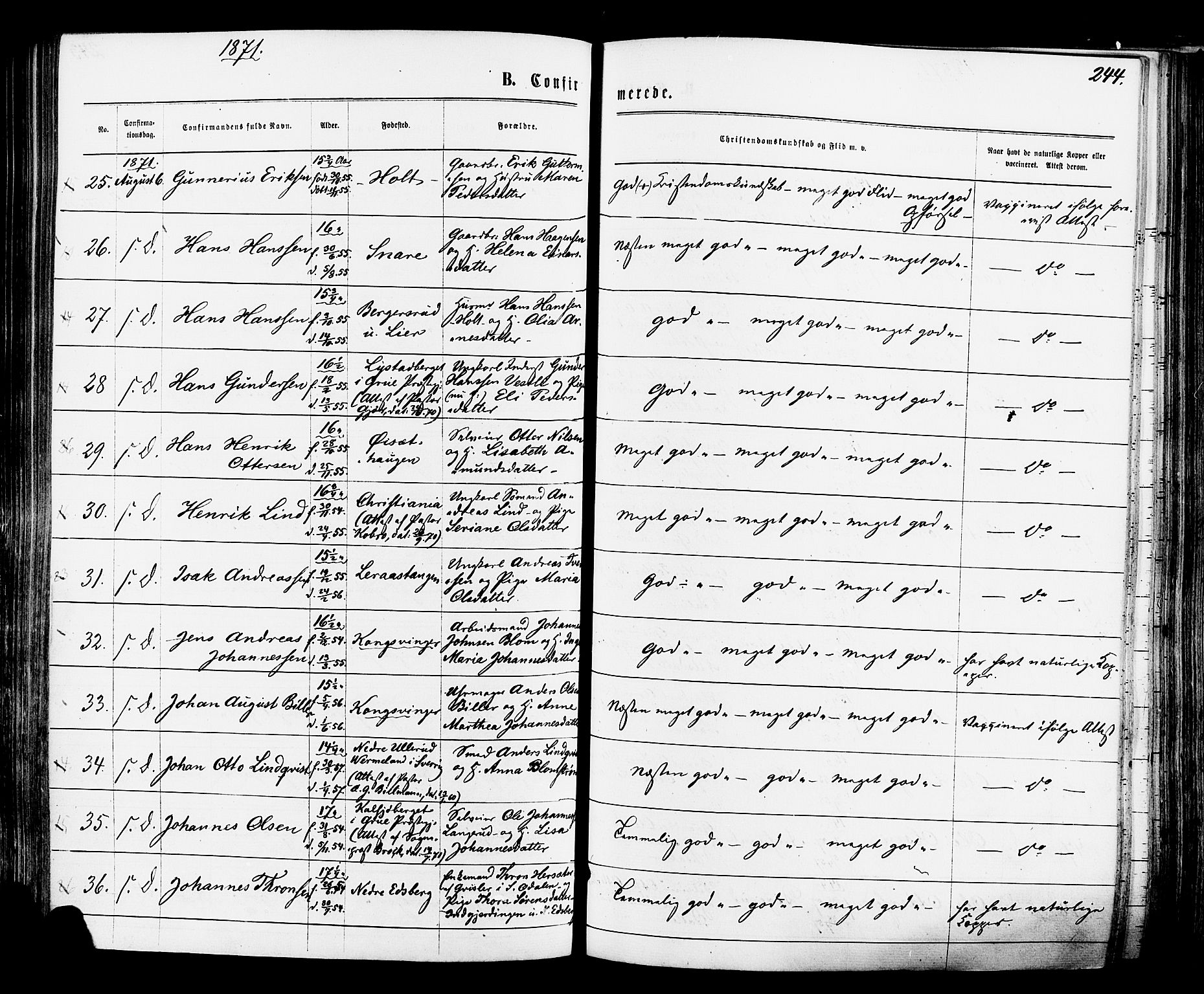 Vinger prestekontor, AV/SAH-PREST-024/H/Ha/Haa/L0012: Parish register (official) no. 12, 1871-1880, p. 244