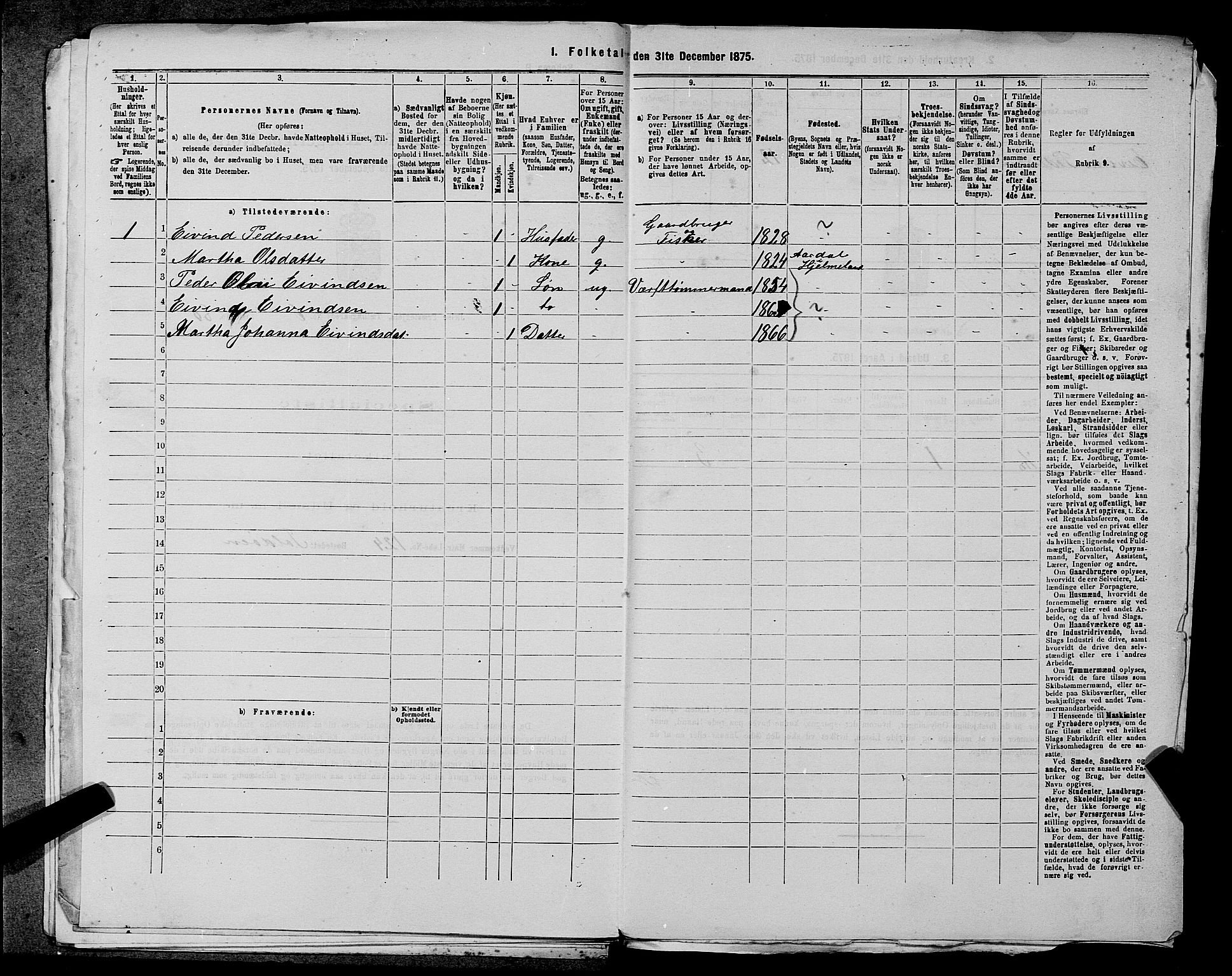 SAST, 1875 census for 1138P Jelsa, 1875, p. 576