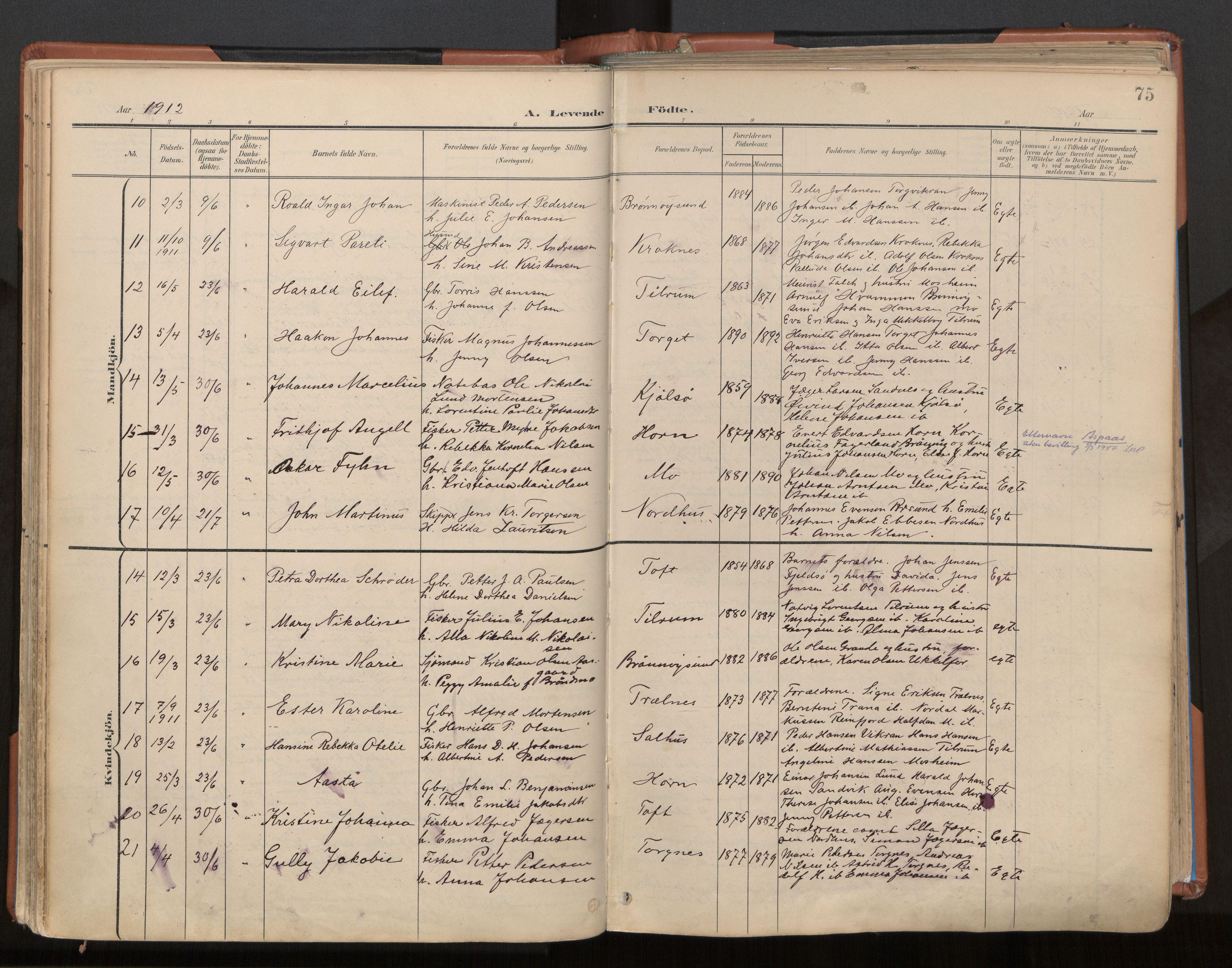 Ministerialprotokoller, klokkerbøker og fødselsregistre - Nordland, AV/SAT-A-1459/813/L0201: Parish register (official) no. 813A11, 1901-1918, p. 75