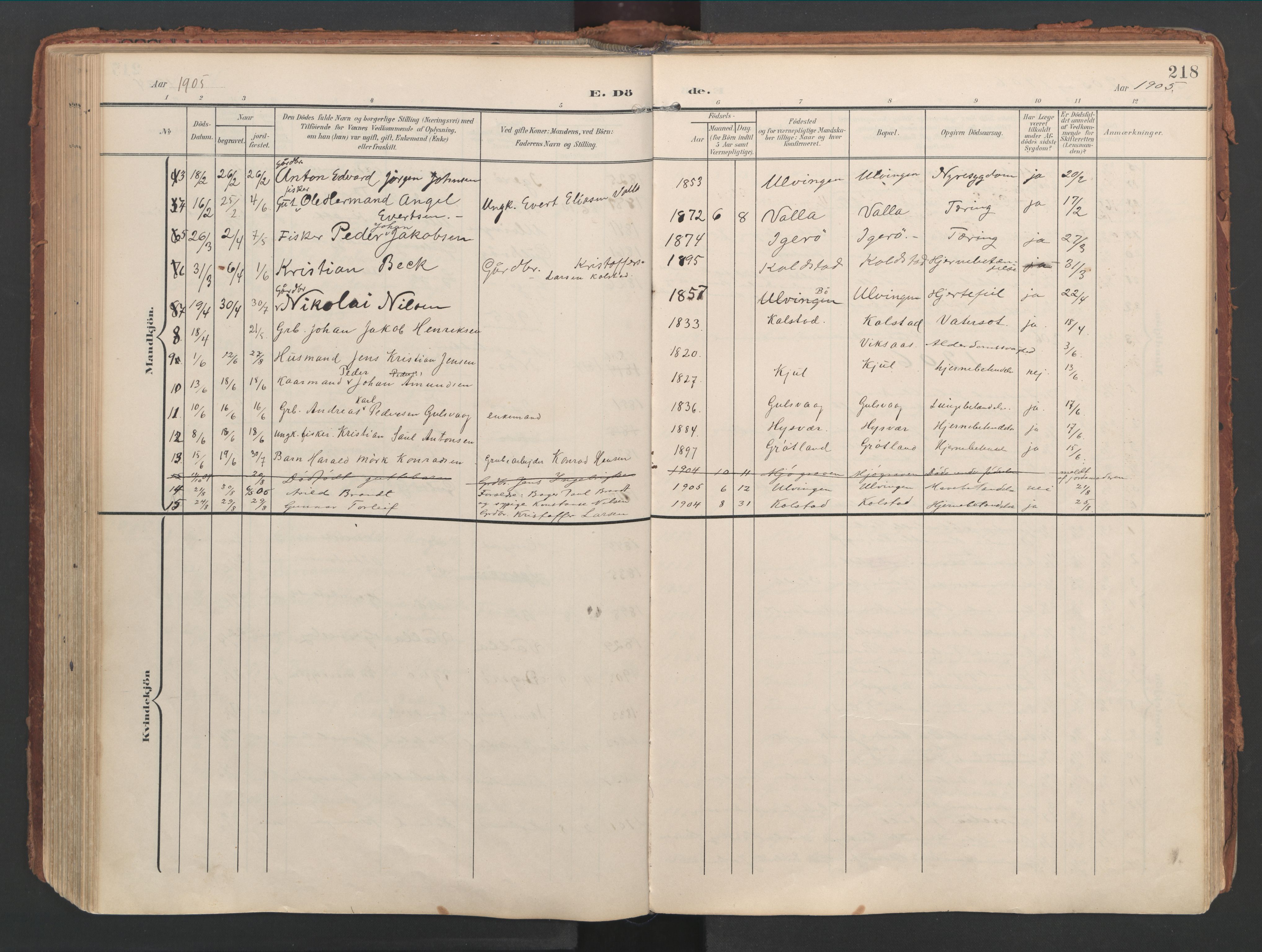 Ministerialprotokoller, klokkerbøker og fødselsregistre - Nordland, AV/SAT-A-1459/816/L0250: Parish register (official) no. 816A16, 1903-1923, p. 218